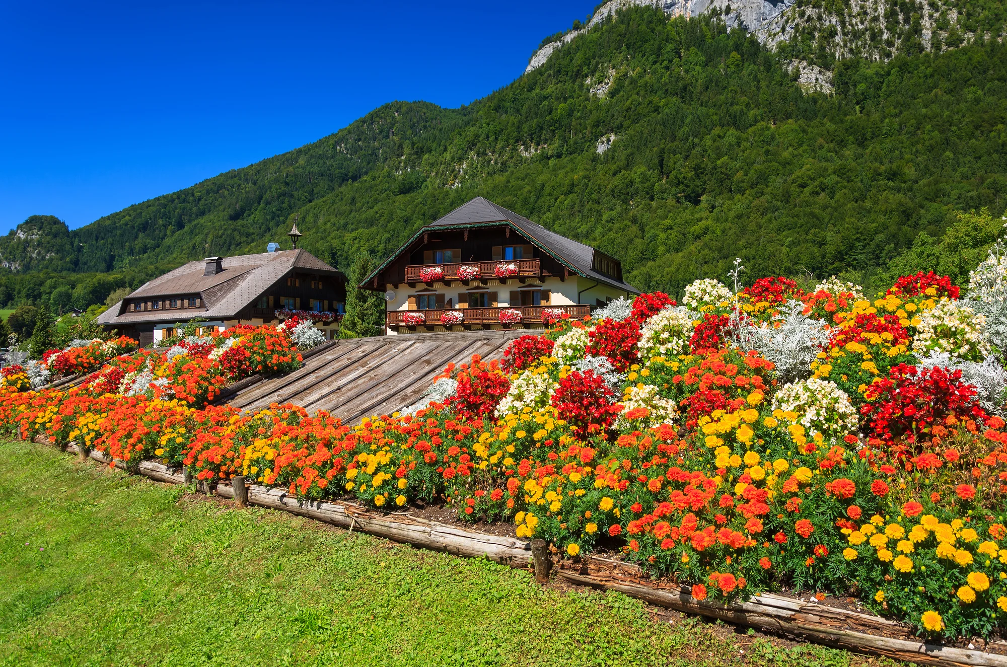 1denní výlet po perlách Solné komory: Hallstatt, Wolfgangsee a Schafberg, doprava tam i zpět