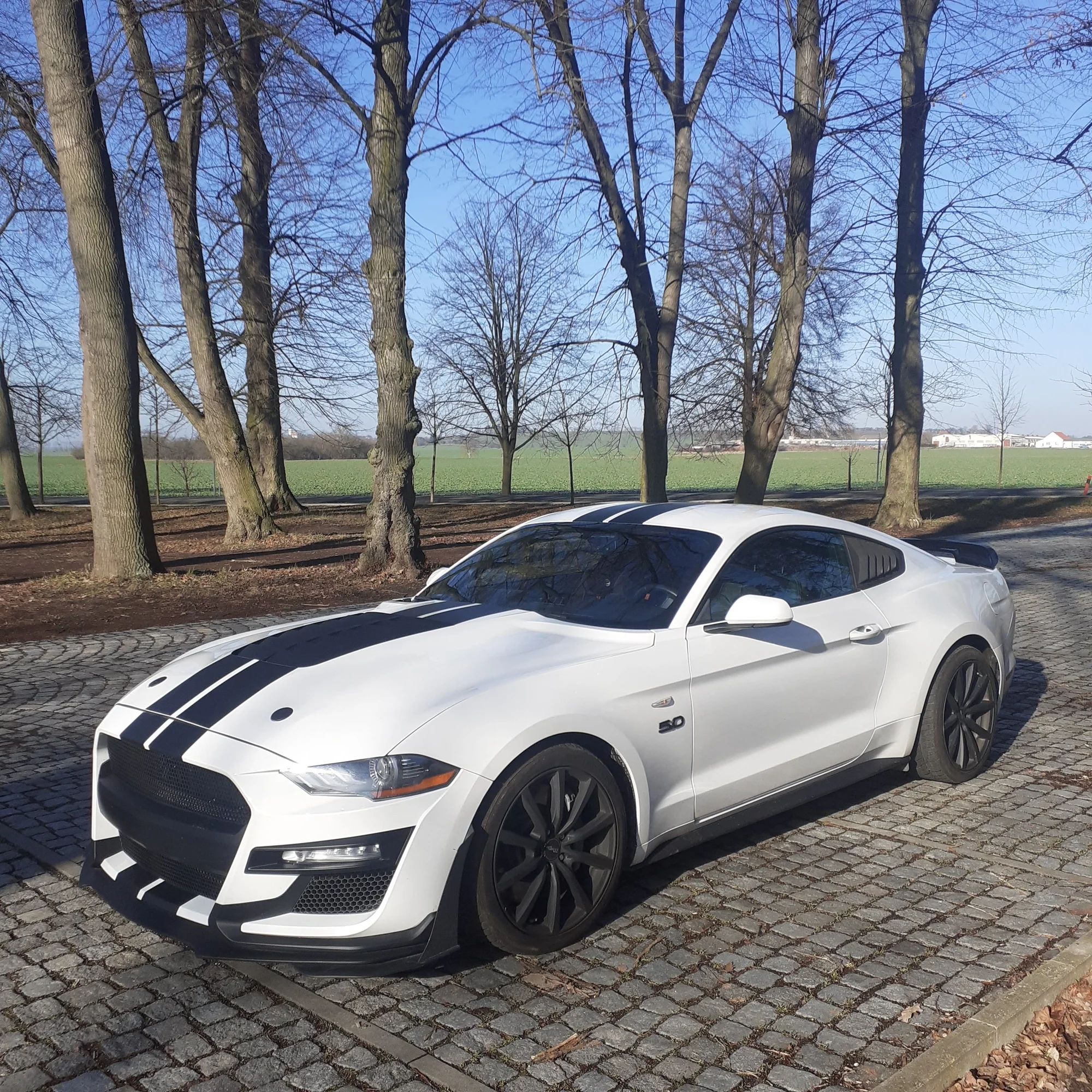 Ford Mustang Fastback GT 5.0 V8: spolujízda, řízení i pronájem