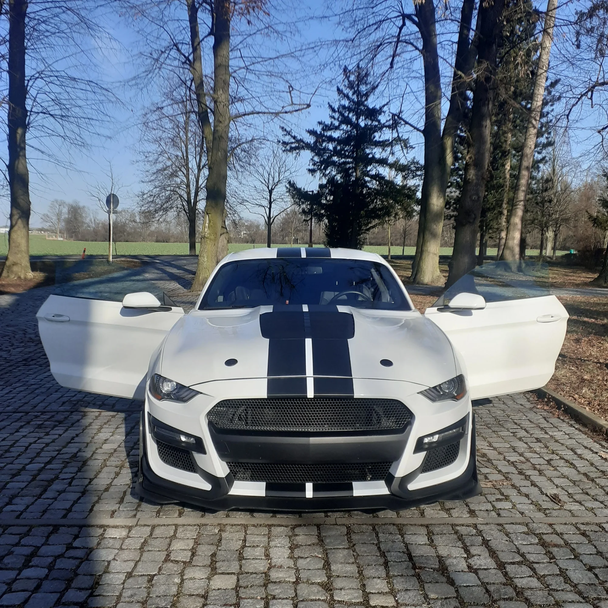 Ford Mustang Fastback GT 5.0 V8: spolujízda, řízení i pronájem