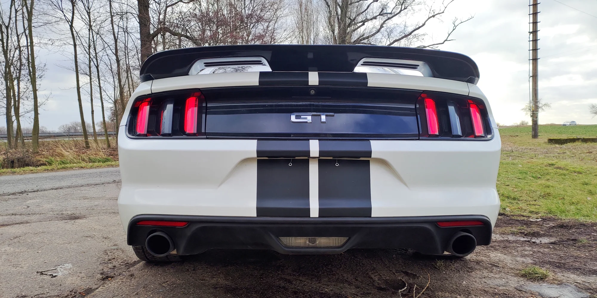 Ford Mustang Fastback GT 5.0 V8: spolujízda, řízení i pronájem
