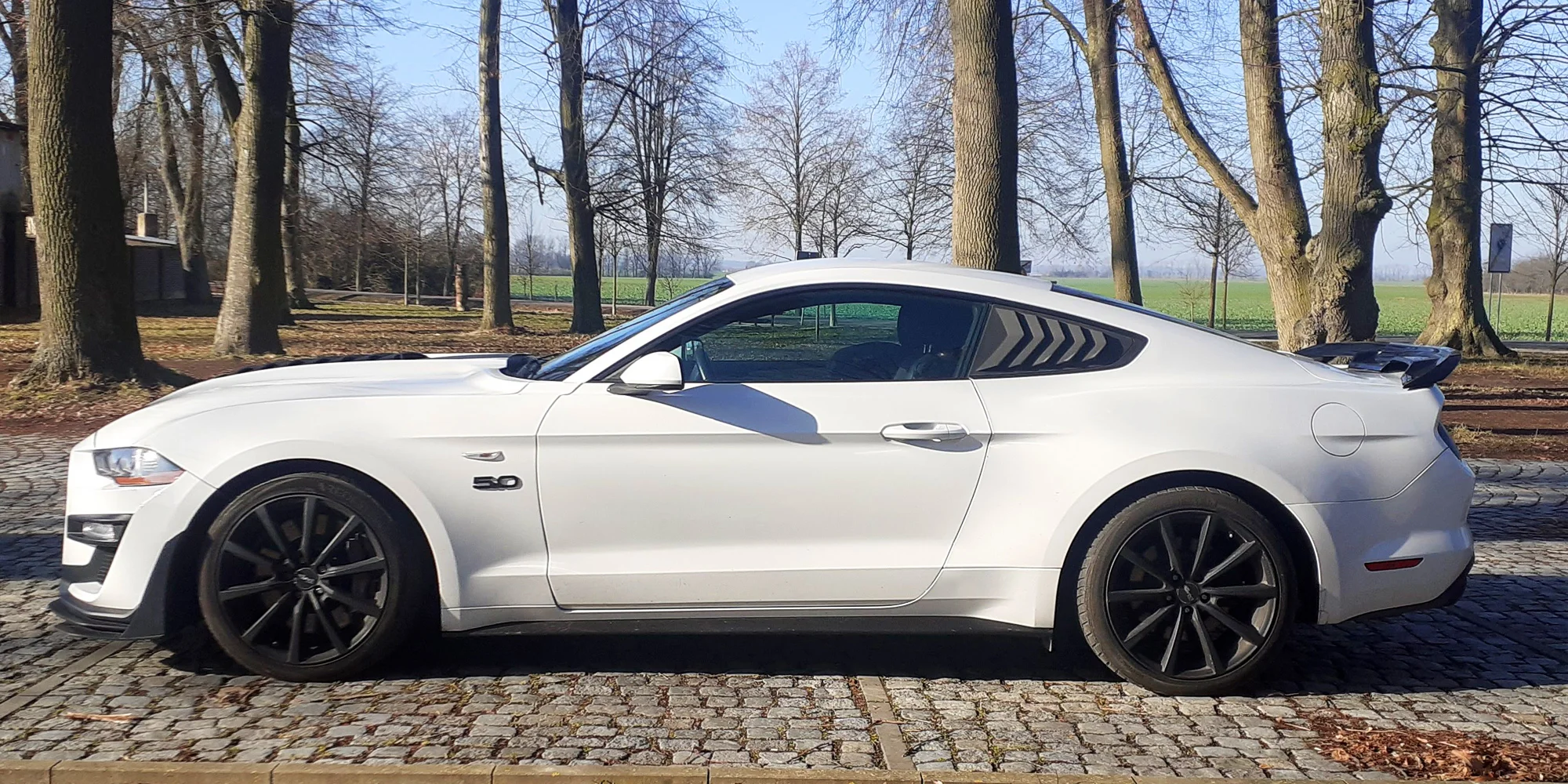Ford Mustang Fastback GT 5.0 V8: spolujízda, řízení i pronájem