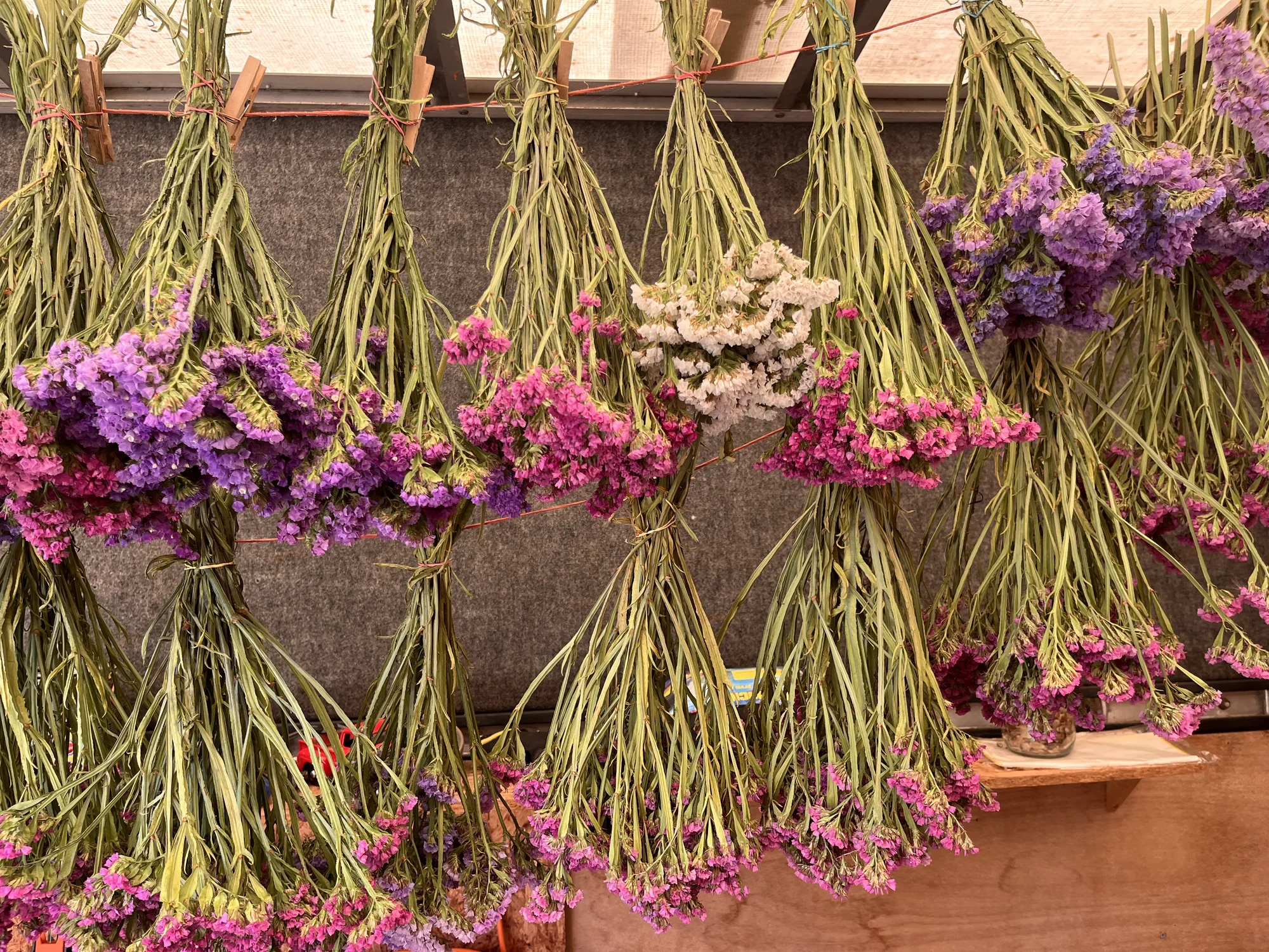 Květinové a bylinkové workshopy: míchání bylinkového čaje, samosběr, výroba soli nebo vazba kytice