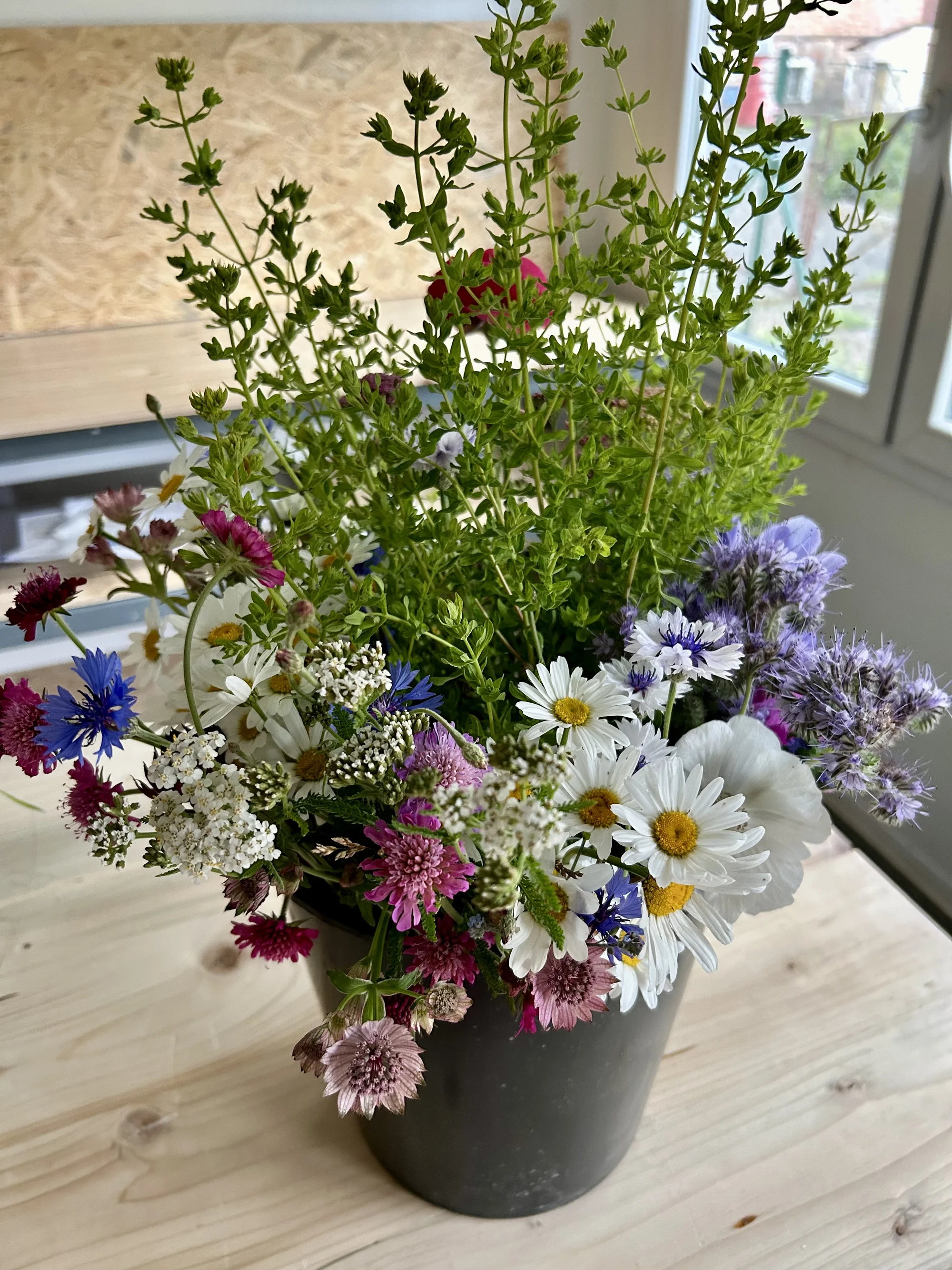 Květinové a bylinkové workshopy: míchání bylinkového čaje, samosběr, výroba soli nebo vazba kytice