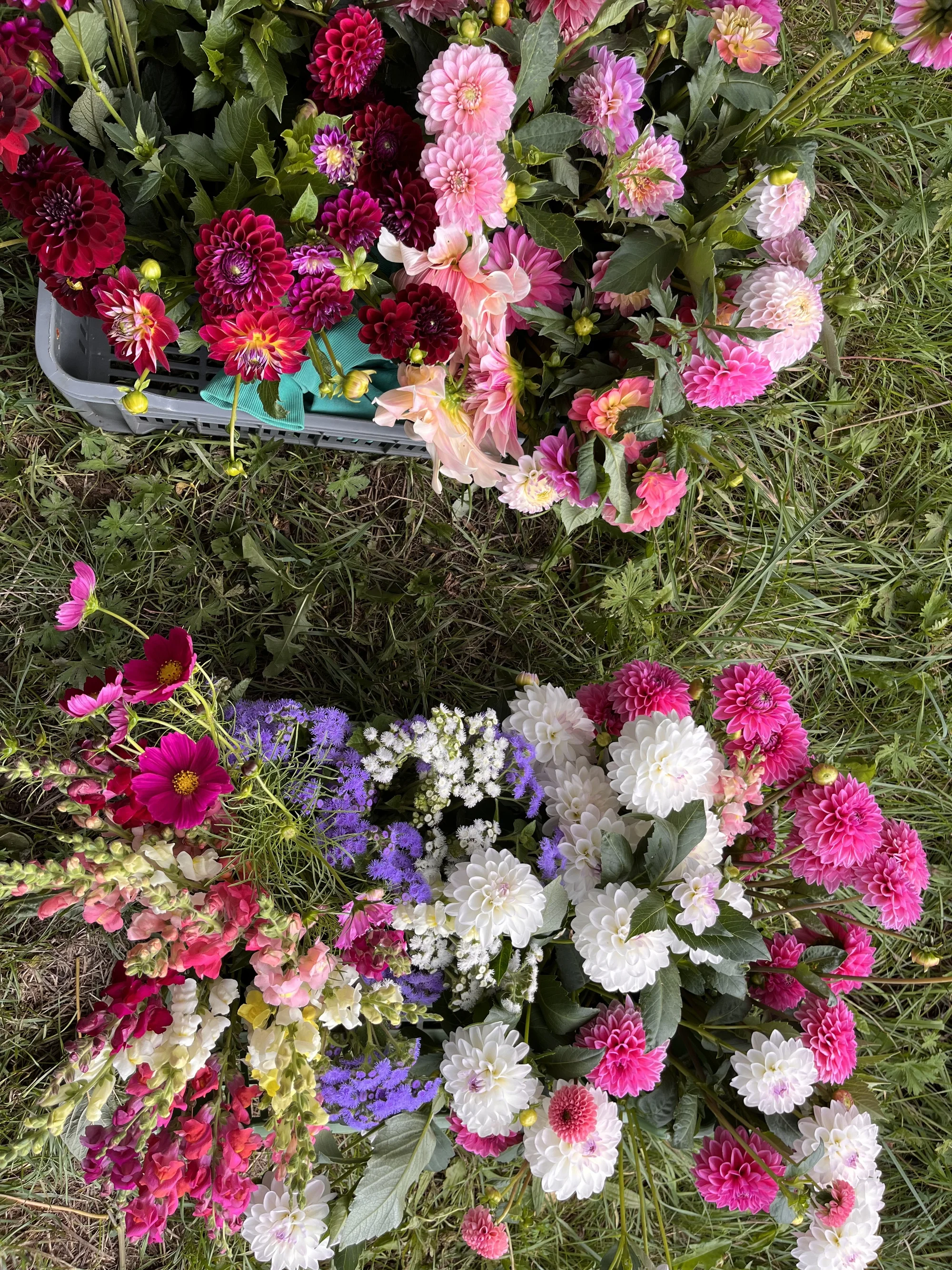 Květinové a bylinkové workshopy: míchání bylinkového čaje, samosběr, výroba soli nebo vazba kytice