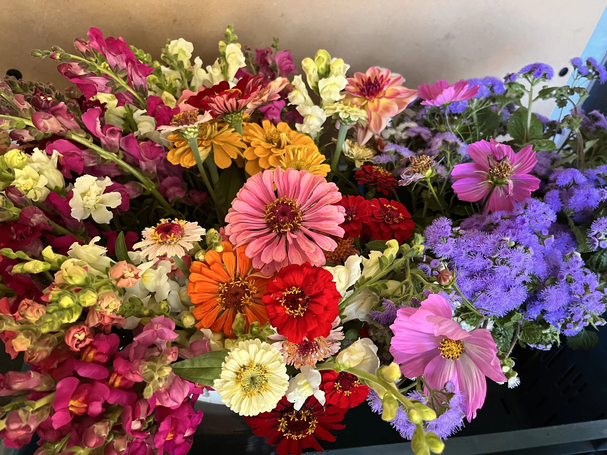 Květinové a bylinkové workshopy: míchání bylinkového čaje, samosběr, výroba soli nebo vazba kytice