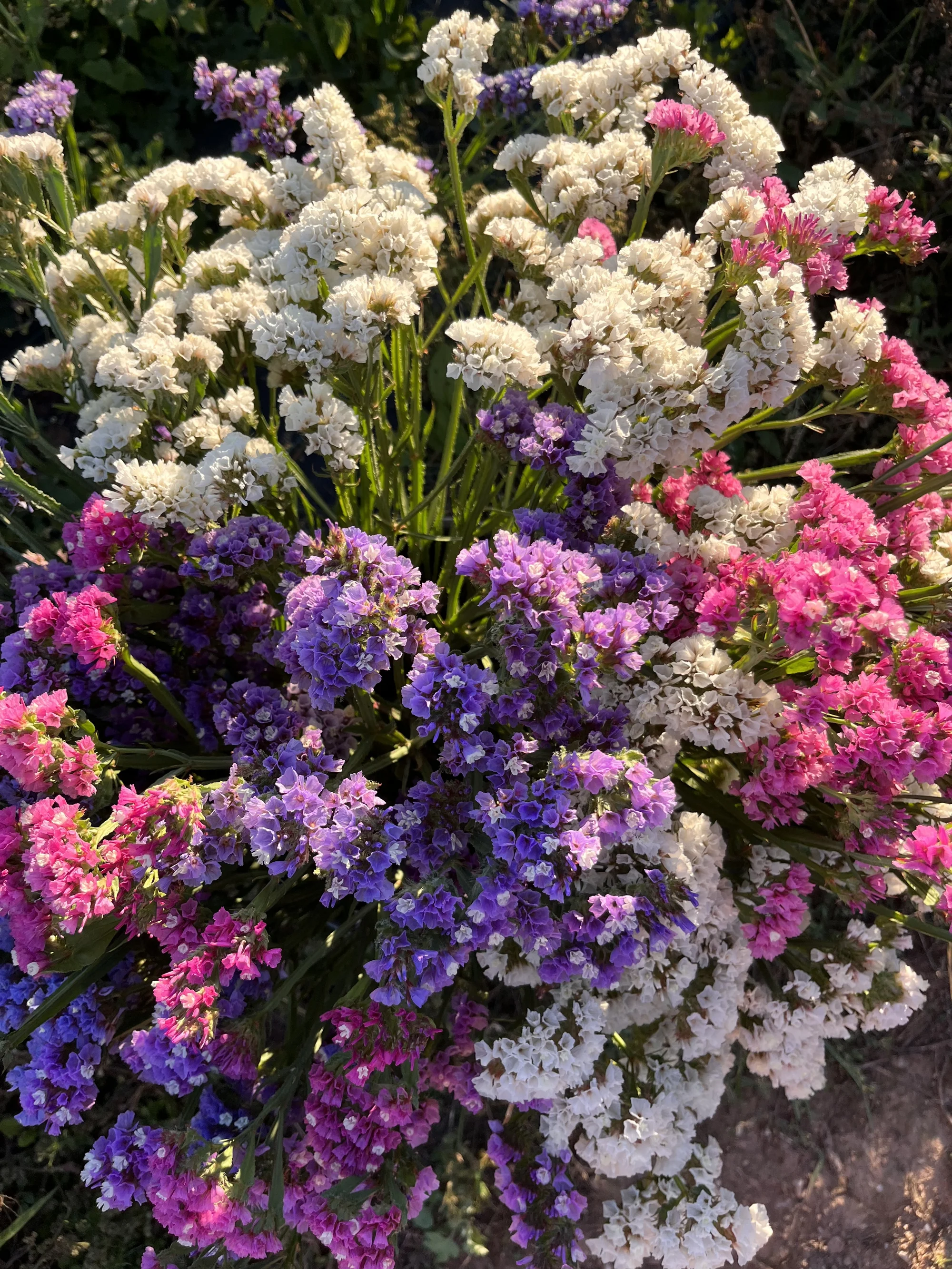 Květinové a bylinkové workshopy: míchání bylinkového čaje, samosběr, výroba soli nebo vazba kytice