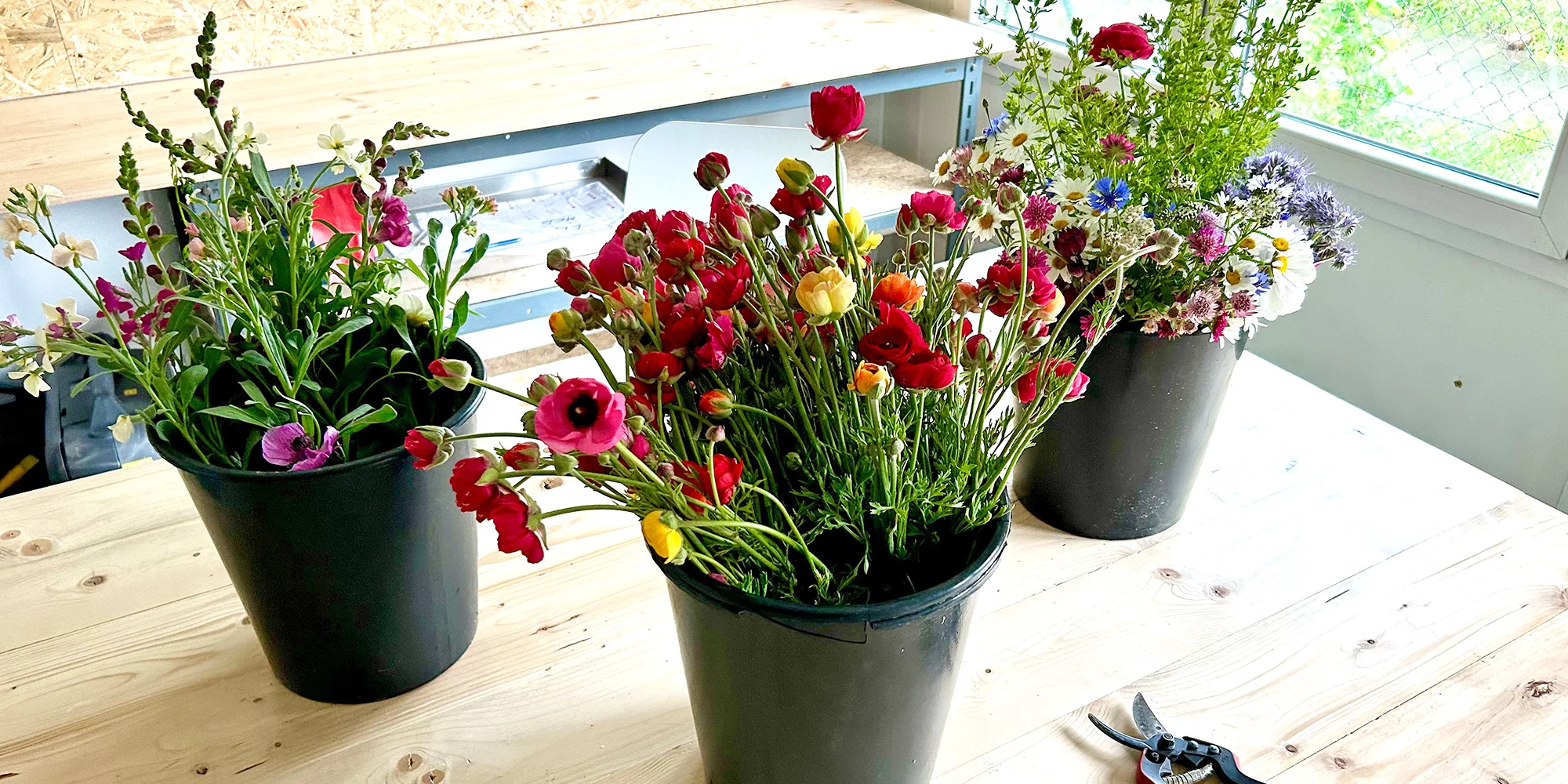 Květinové a bylinkové workshopy: míchání bylinkového čaje, samosběr, výroba soli nebo vazba kytice