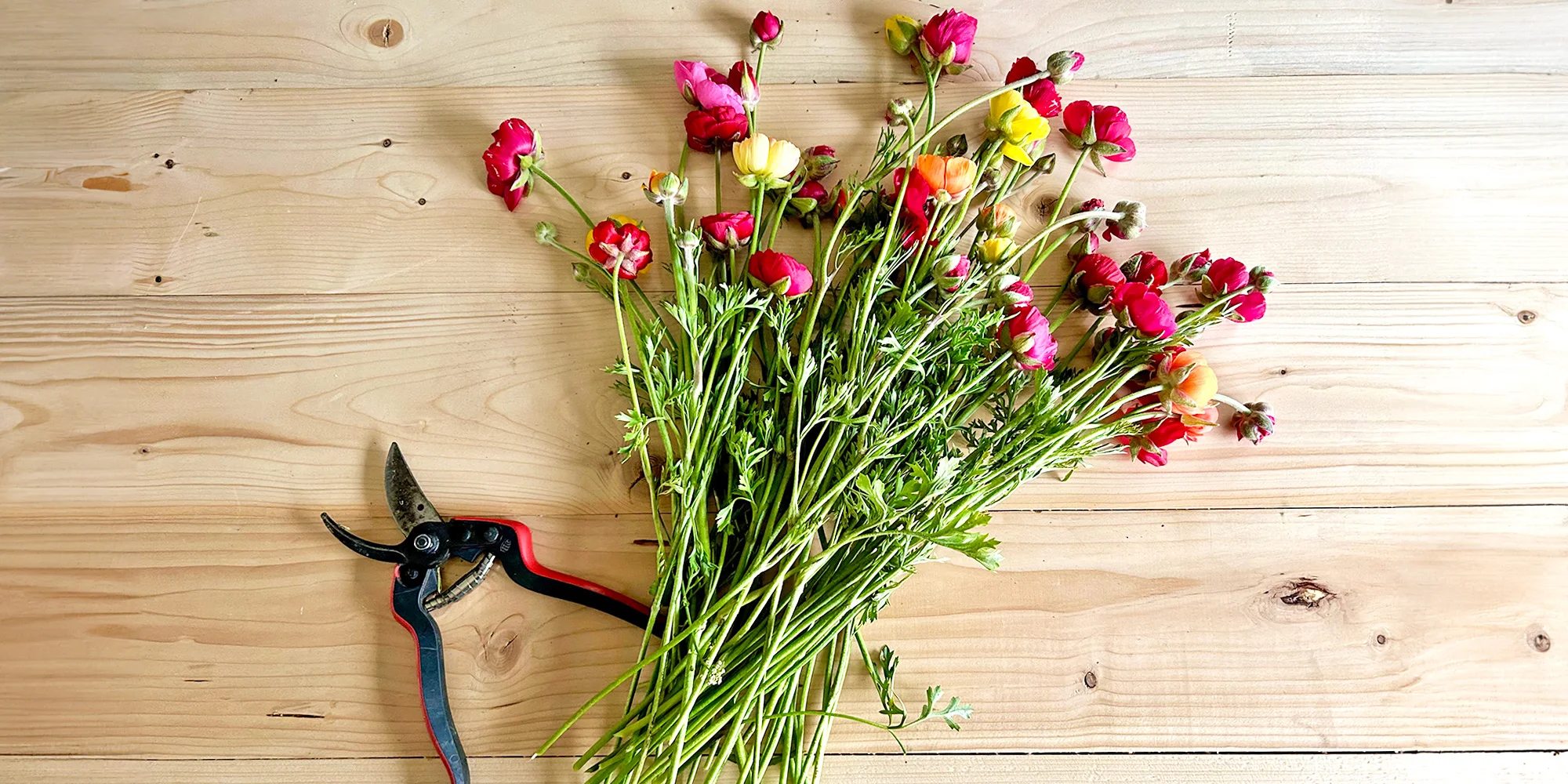 Květinové a bylinkové workshopy: míchání bylinkového čaje, samosběr, výroba soli nebo vazba kytice