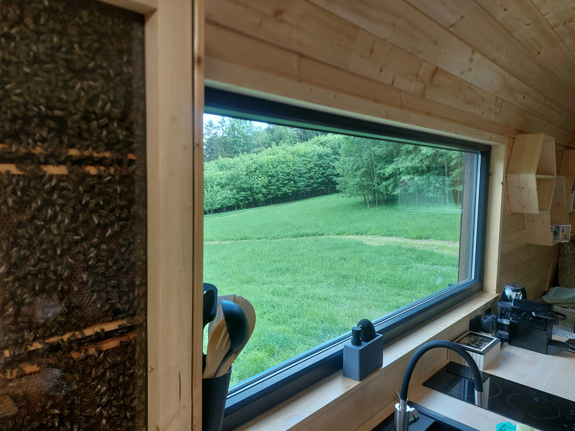Netradiční ubytování v luxusně vybaveném včelíně s apiterapií jako bonus: finská sauna, možnost rybolovu, minibar