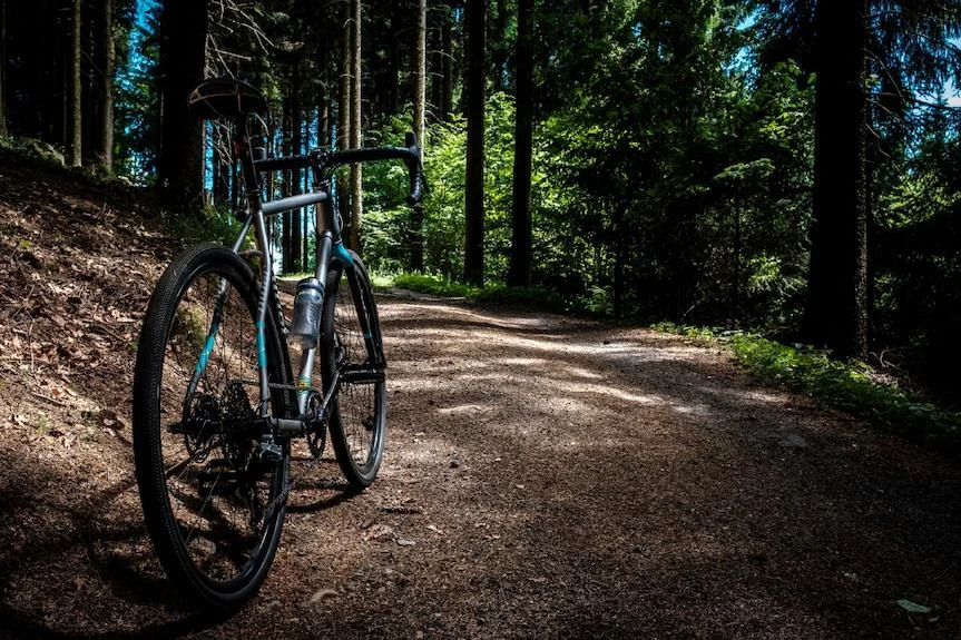 Dovolená v lázeňském městě Duszniki Zdrój: strava