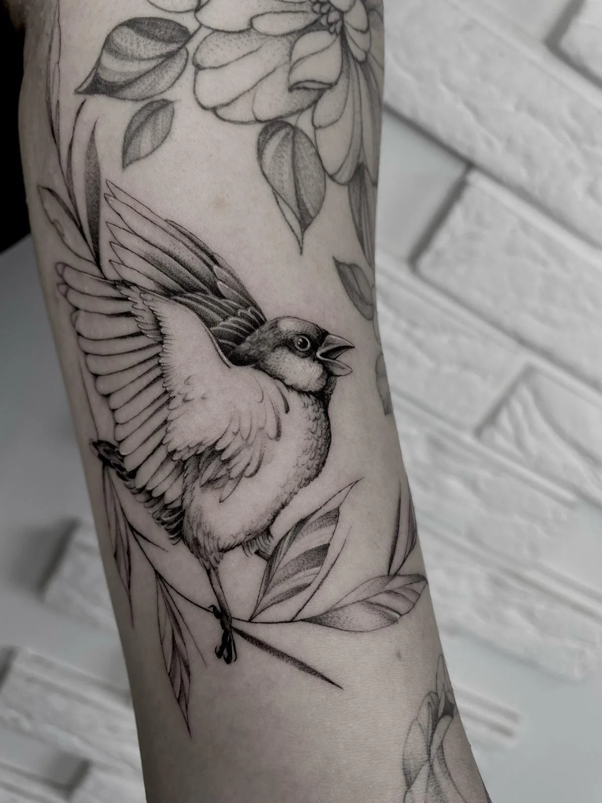 1 500 či 3 500 Kč na cokoliv v tetovacím studiu Vean Tattoo: piercingy, náušnice, šperky, tetování, prostředky na hojení