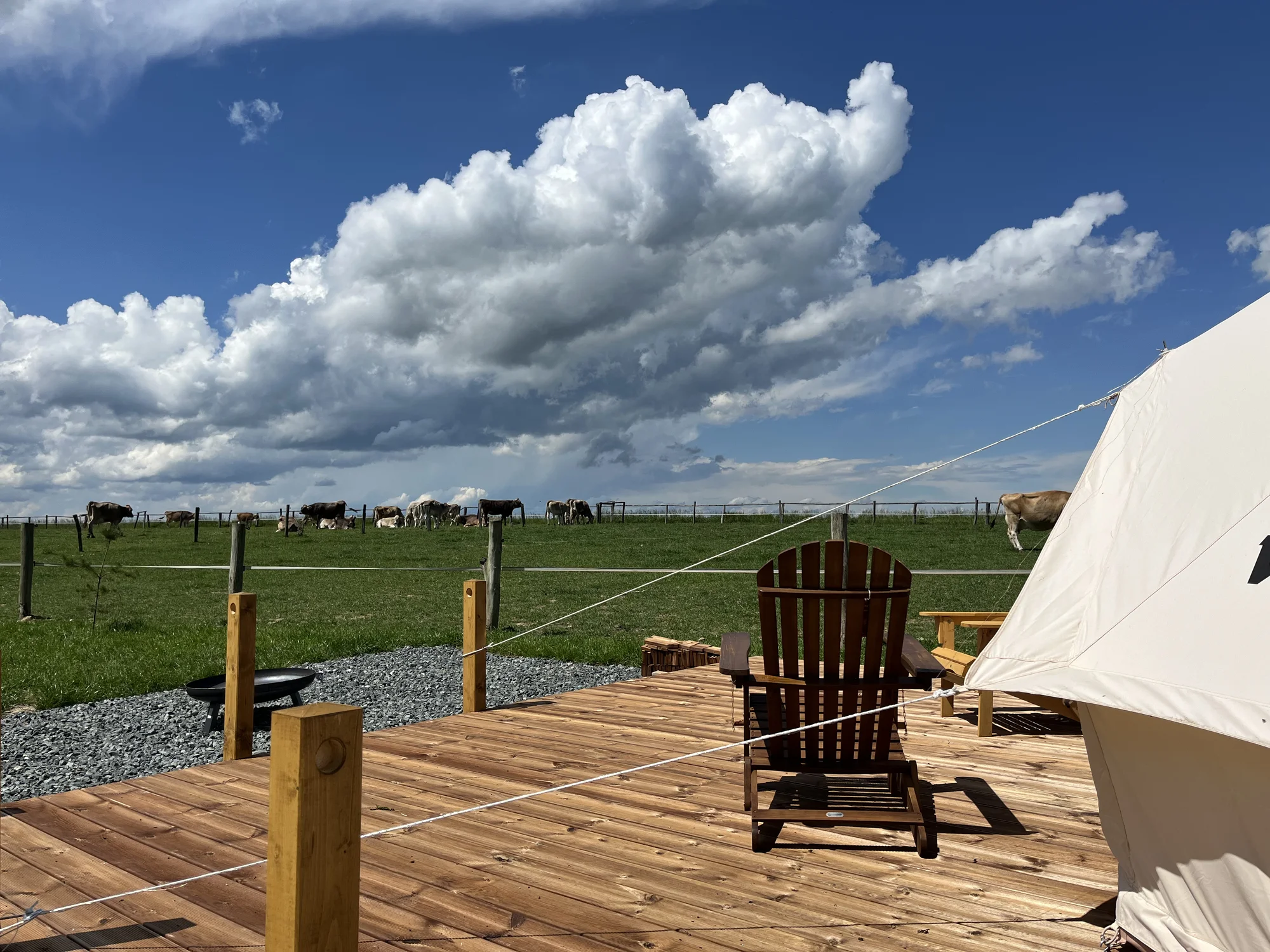 Glamping na farmě v Posázaví: luxusní stan s výhledem na pastviny pro 5 osob