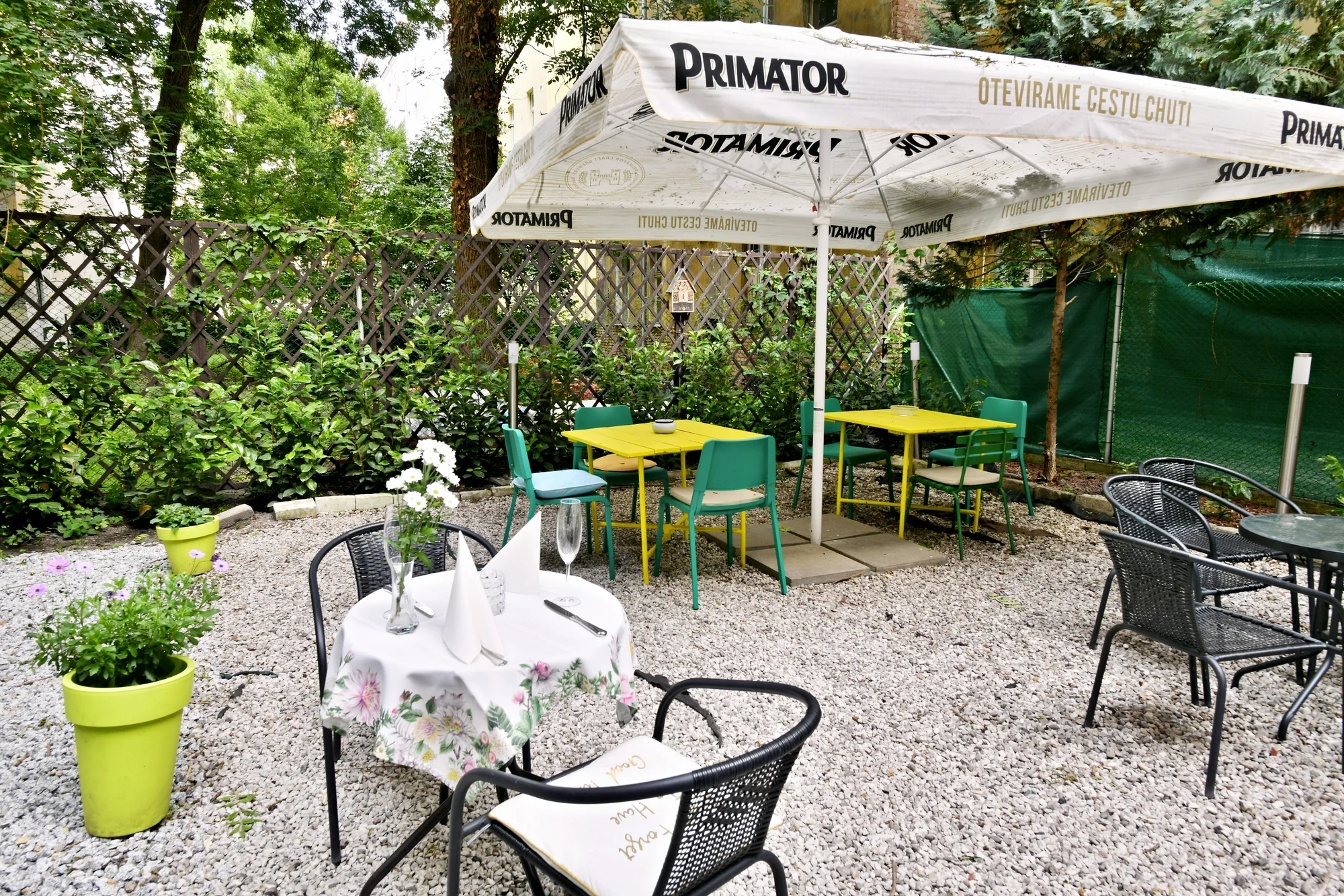 Tříchodové menu pro dva s možností vinného párování: tilápie, krůtí sous-vide i fritovaná zmrzlina