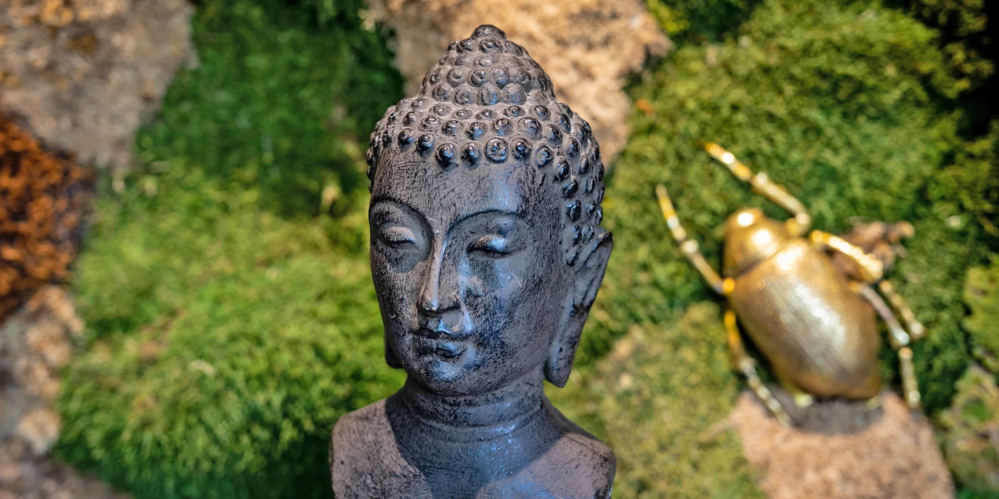 Kurz vaření thajské kuchyně: příprava tříchodového menu od Café Buddha