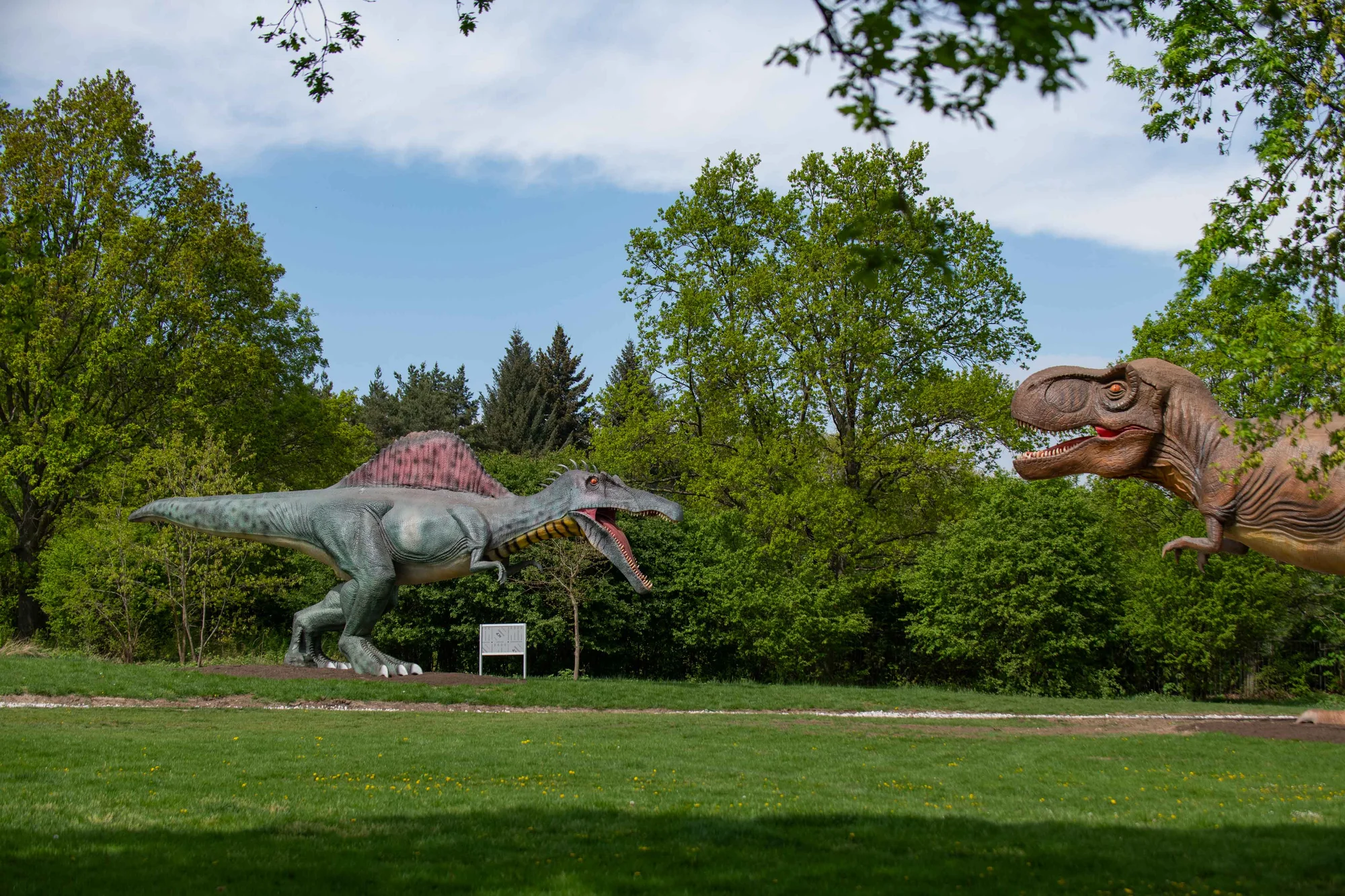 Vstupenky do parku DinoLive s pohyblivými dinosaury v životních velikostech