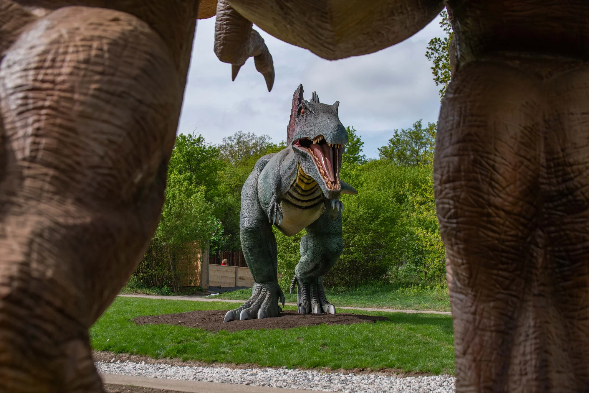 Vstupenky do parku DinoLive s pohyblivými dinosaury v životních velikostech