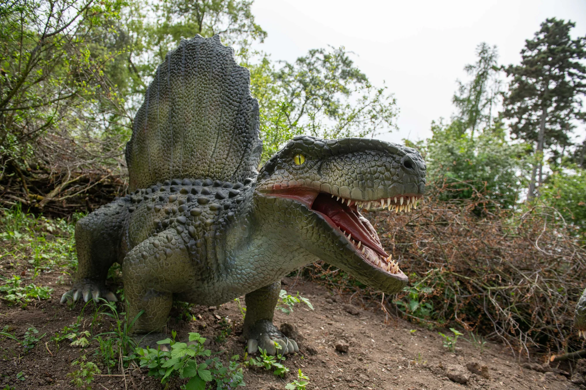 Vstupenky do parku DinoLive s pohyblivými dinosaury v životních velikostech