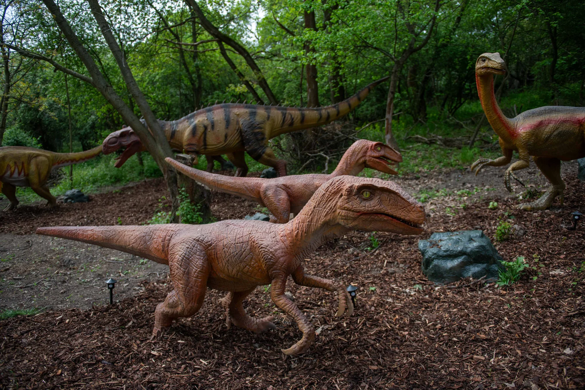 Vstupenky do parku DinoLive s pohyblivými dinosaury v životních velikostech