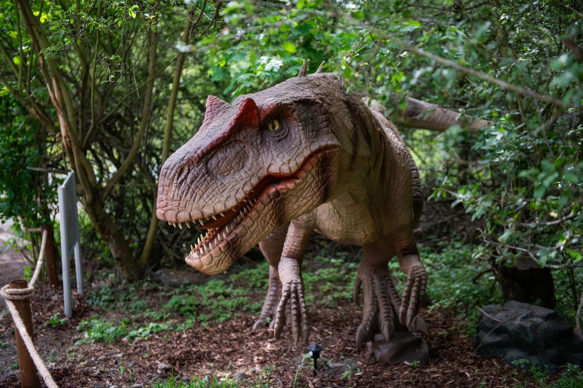 Vstupenky do parku DinoLive s pohyblivými dinosaury v životních velikostech