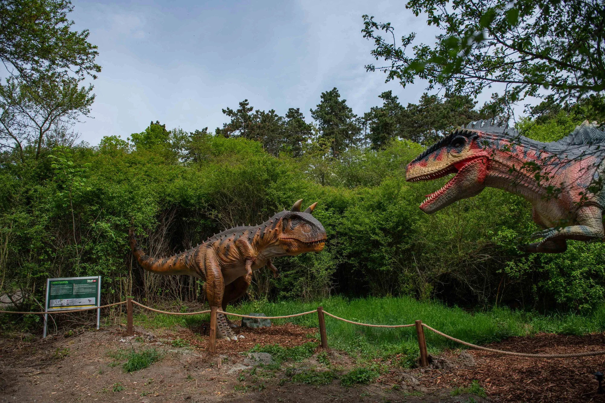 Vstupenky do parku DinoLive s pohyblivými dinosaury v životních velikostech