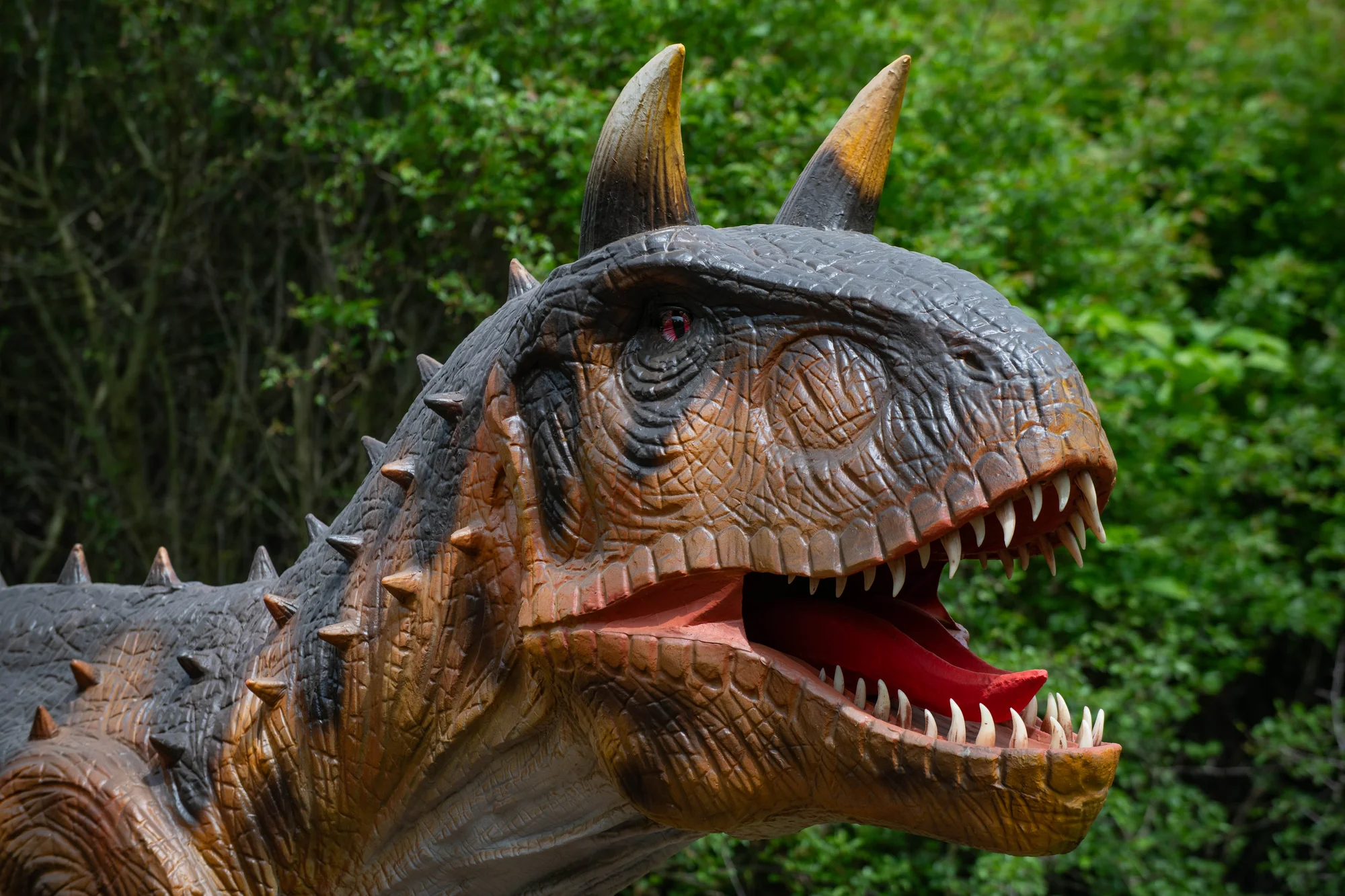 Vstupenky do parku DinoLive s pohyblivými dinosaury v životních velikostech