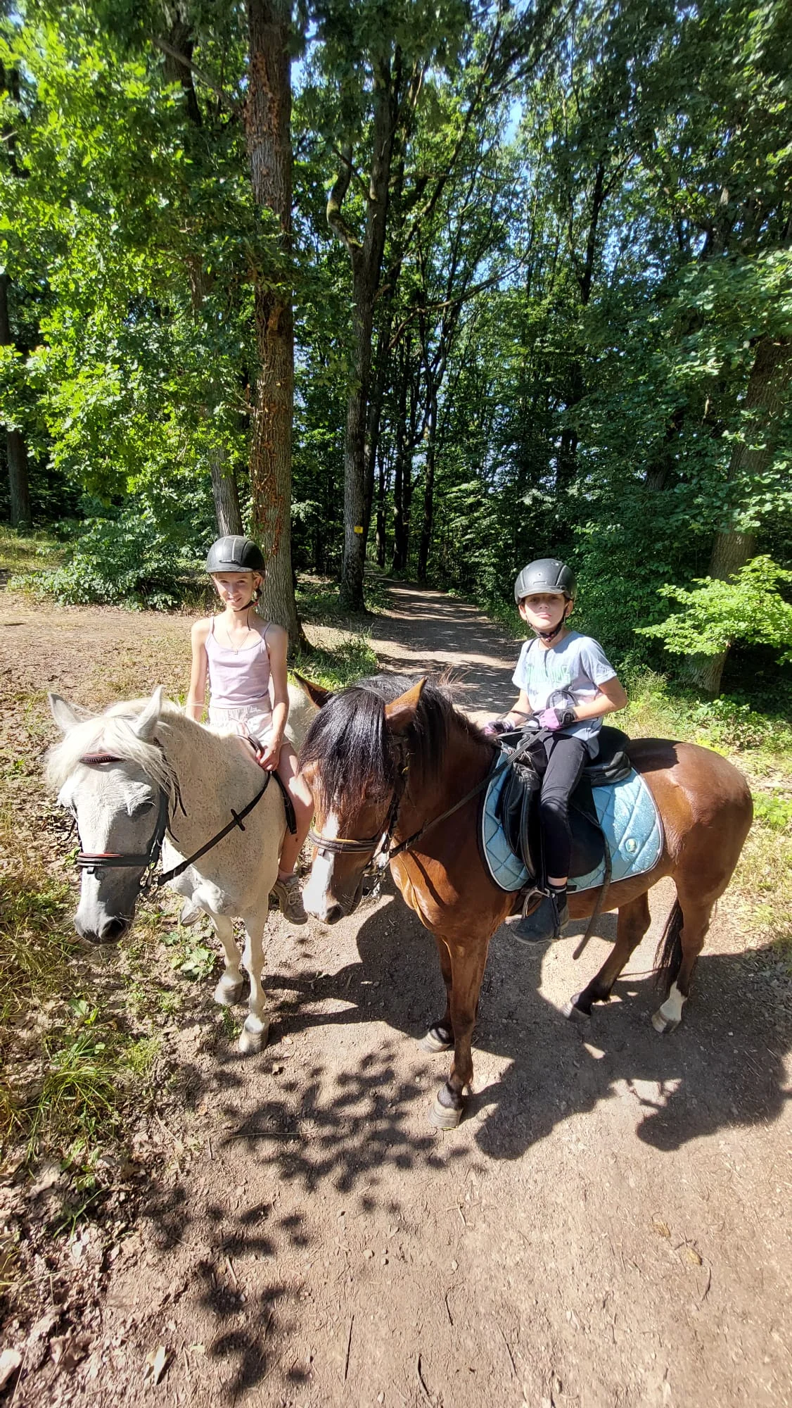 Vyjížďka na koni pro dospělé nebo na malém poníkovi pro děti