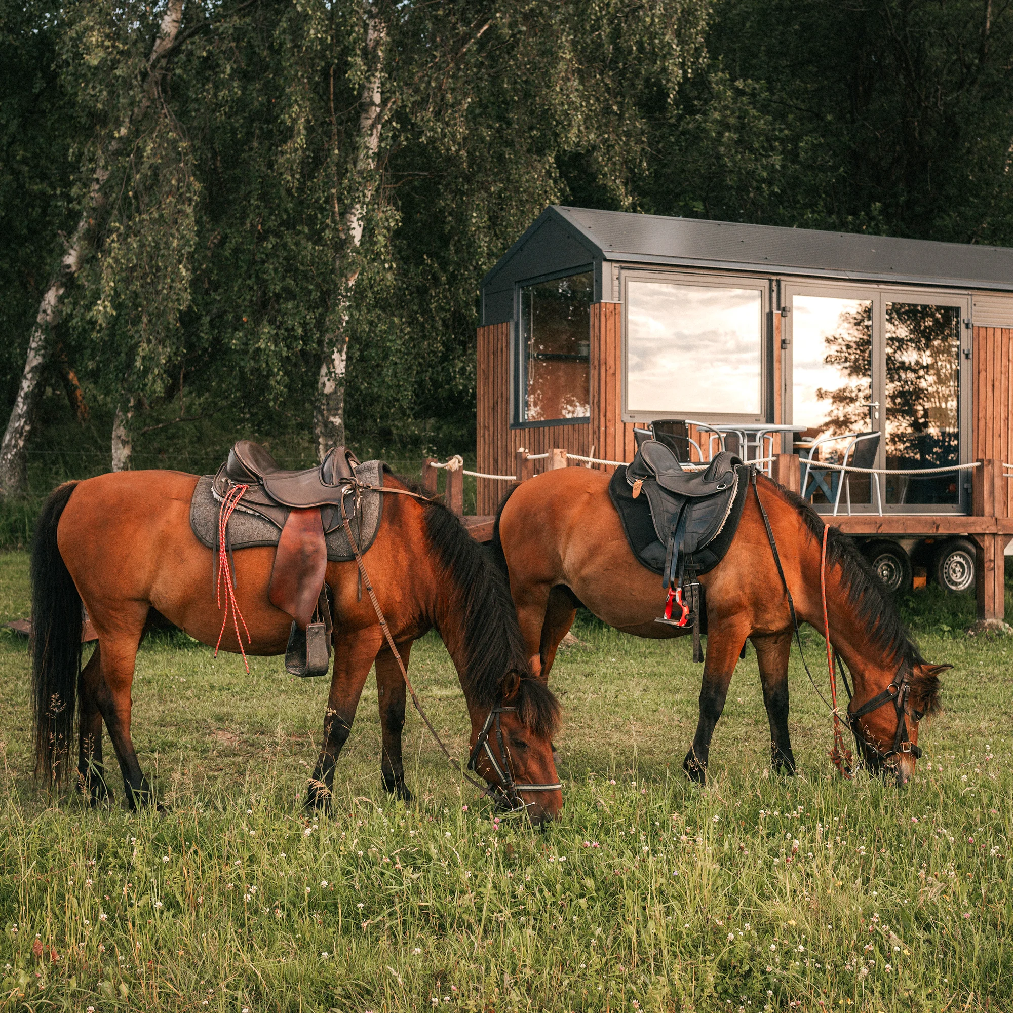 Tiny House Louis na Lipensku: skvělé vybavení včetně kuchyně a koupelny, překrásný výhled