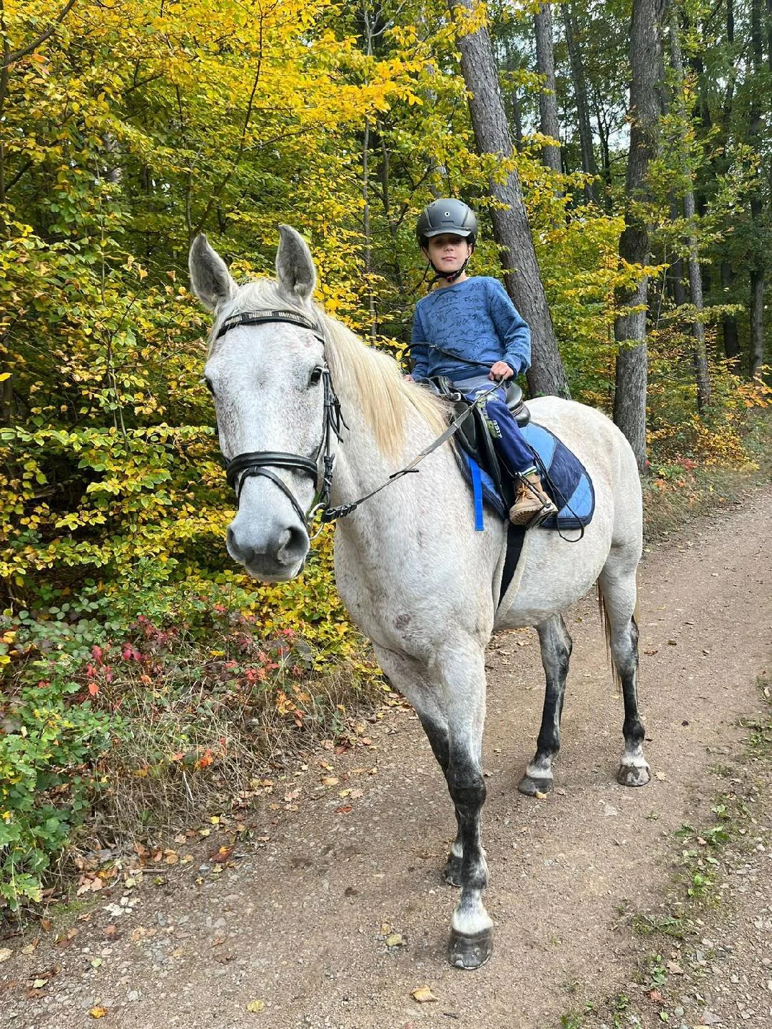 Vyjížďka na koni pro dospělé nebo na malém poníkovi pro děti