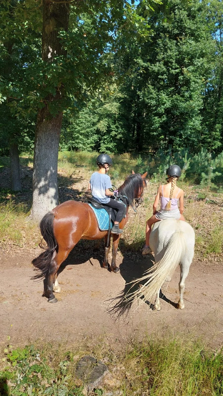 Vyjížďka na koni pro dospělé nebo na malém poníkovi pro děti