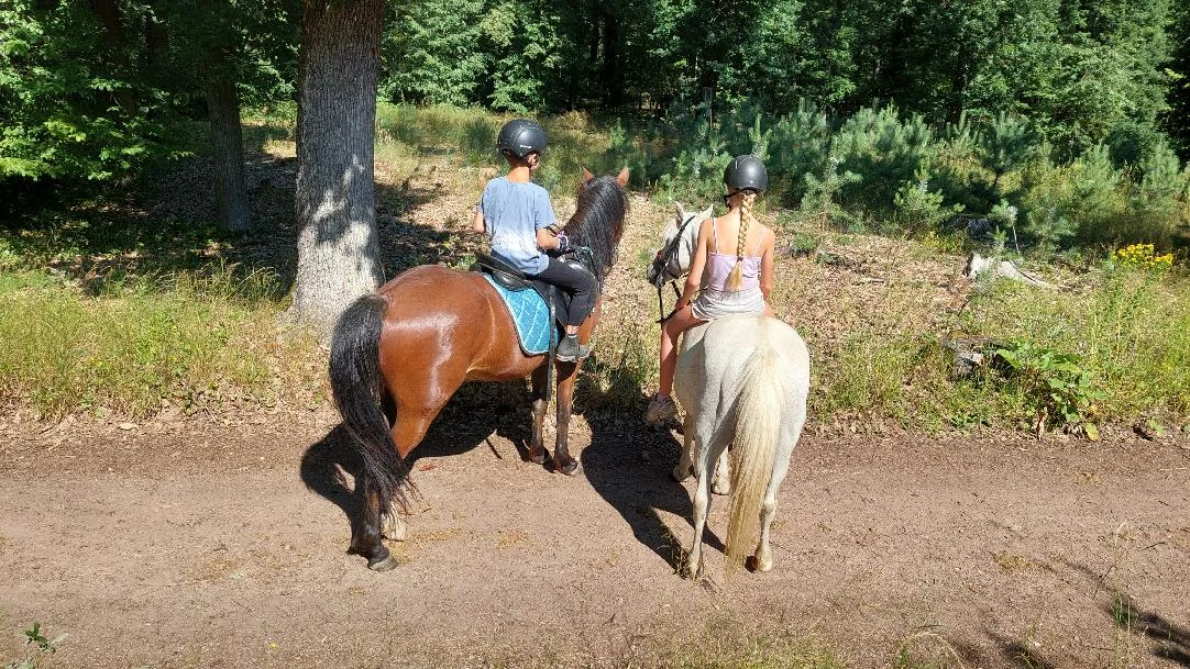 Vyjížďka na koni pro dospělé nebo na malém poníkovi pro děti