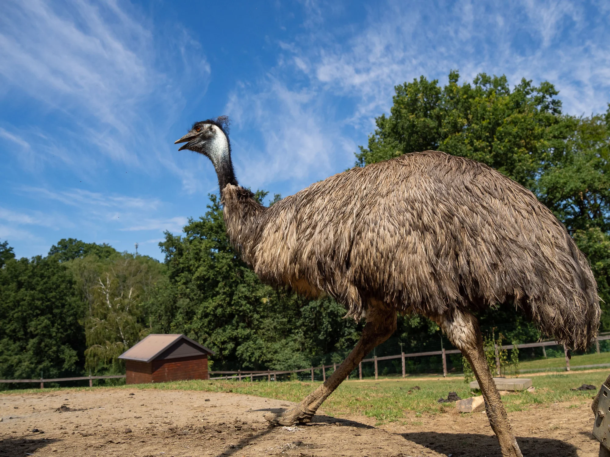 Celodenní vstup do Farmaparku včetně všech atrakcí a kyblík krmení nebo plyšák