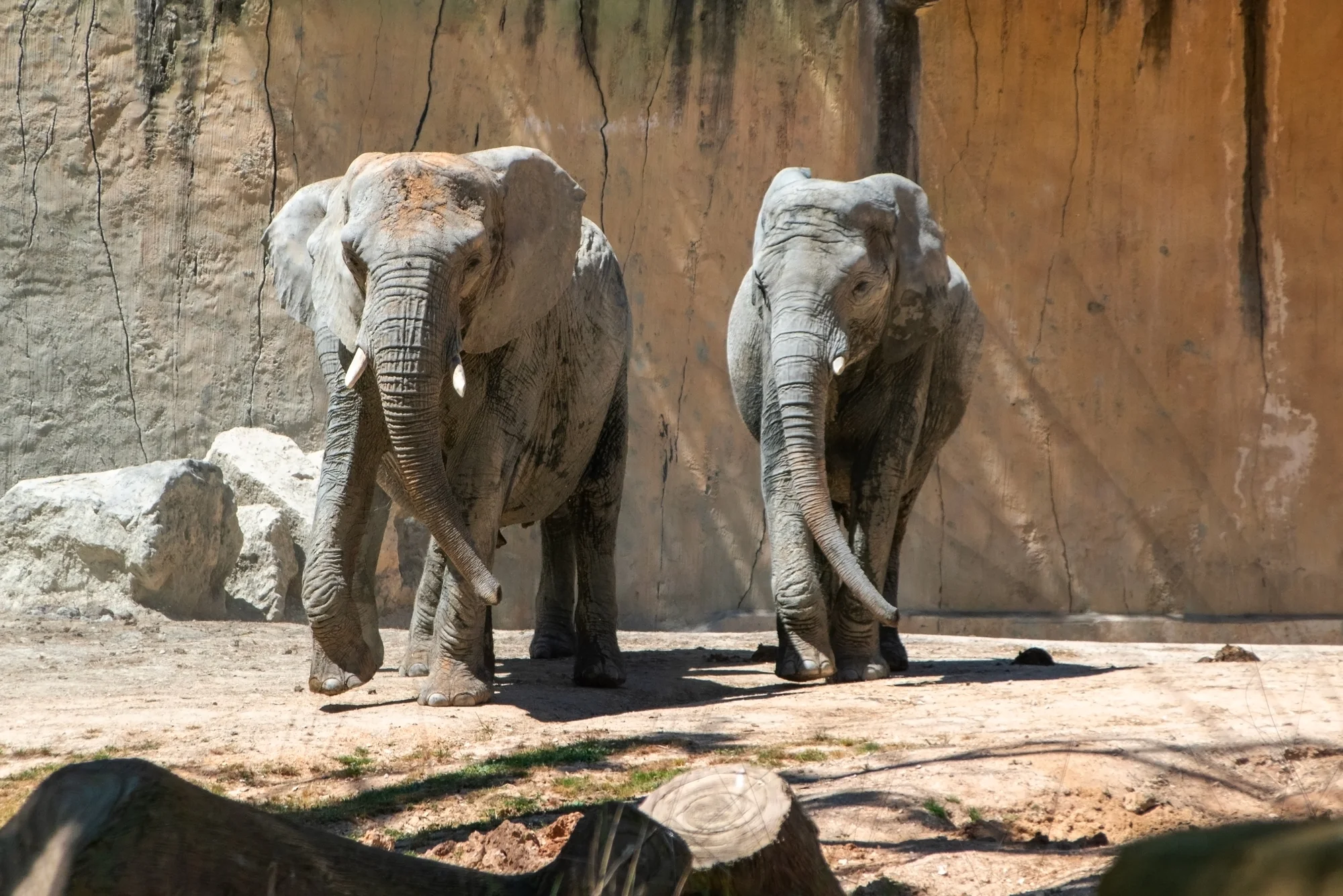 Pobyt v centru Mnichova: 4* hotel se snídaní, wellness i vstupem do zoo