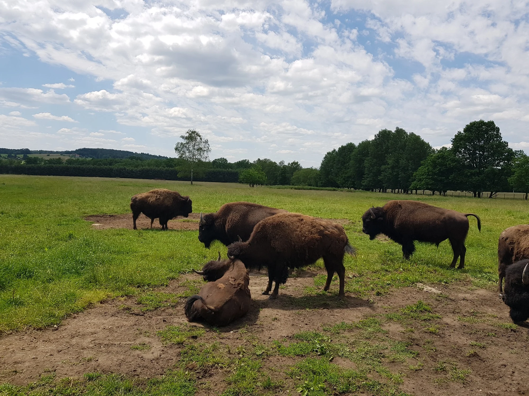Pobyt v unikátním domě Prvok tištěném na 3D tiskárně: ubytování, snídaně a Offroad Safari jízda
