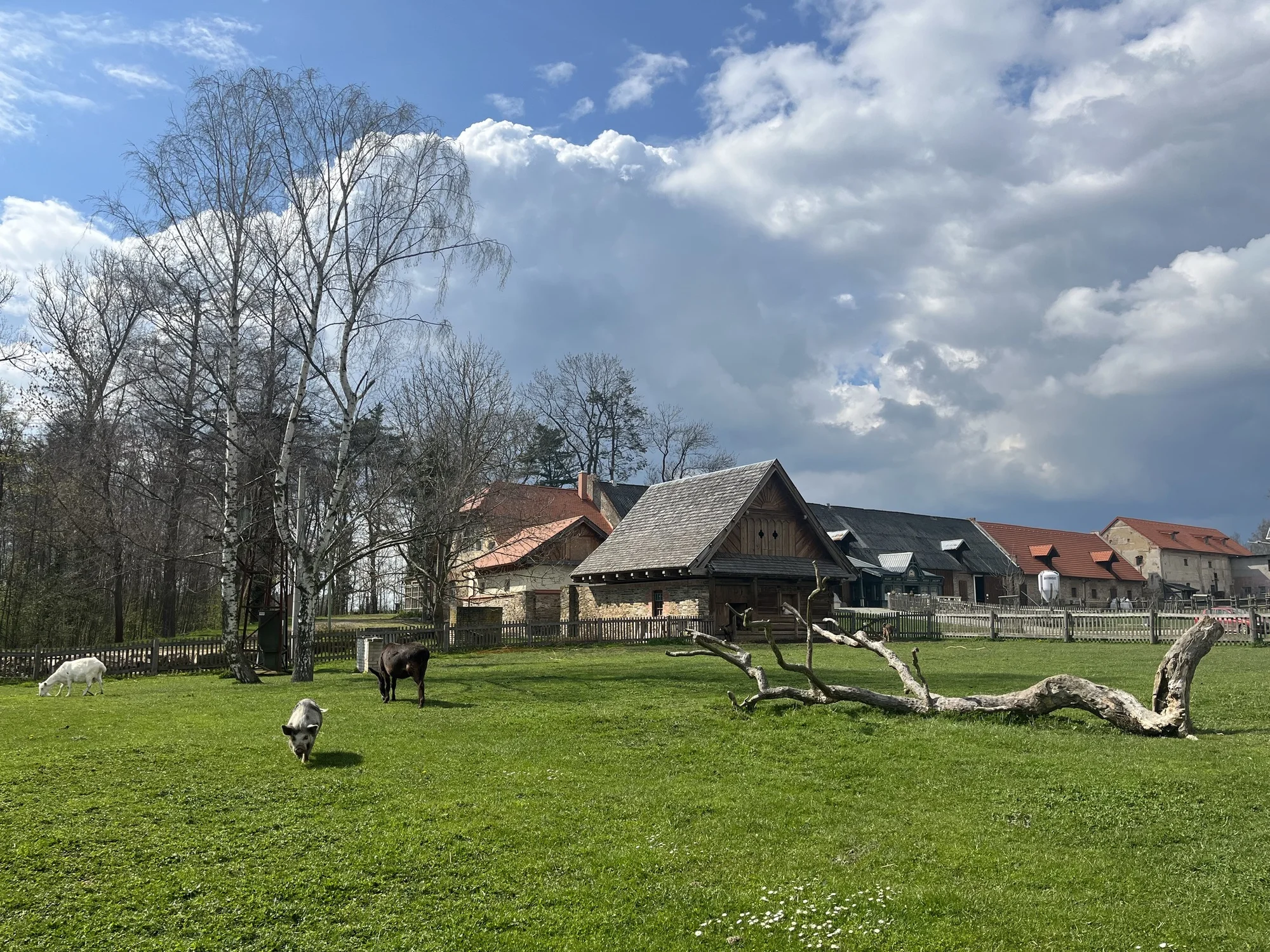 Útulné apartmány na farmě v Posázaví s výhledem na pastviny, vlastní sýrárna i bistro
