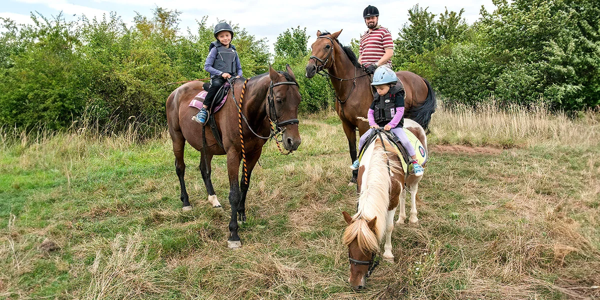 Den plný zážitků s koňmi: péče o ně, výcvik i projížďka krajinou