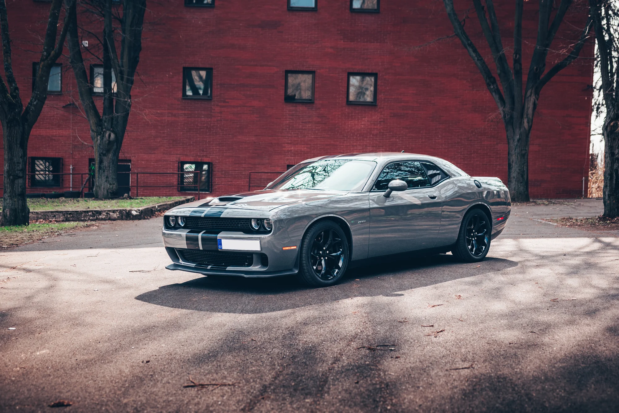 Zažijte pravou Ameriku s Dodge Challenger V8 HEMI: 20–50 min. jízdy i svezení se závodníkem