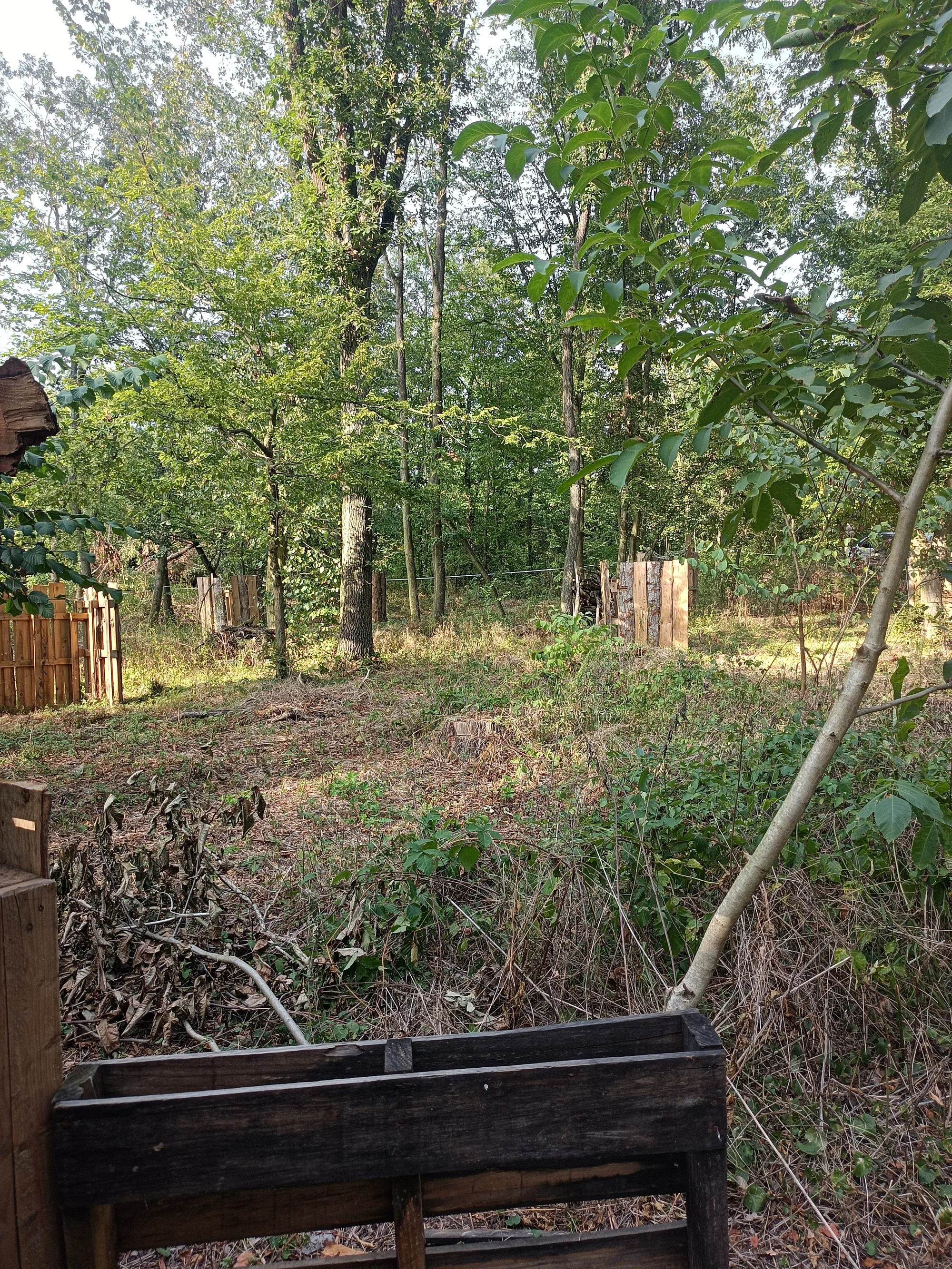 Dobijte adrenalin: 3hodinová paintballová zábava vč. kuliček a občerstvení