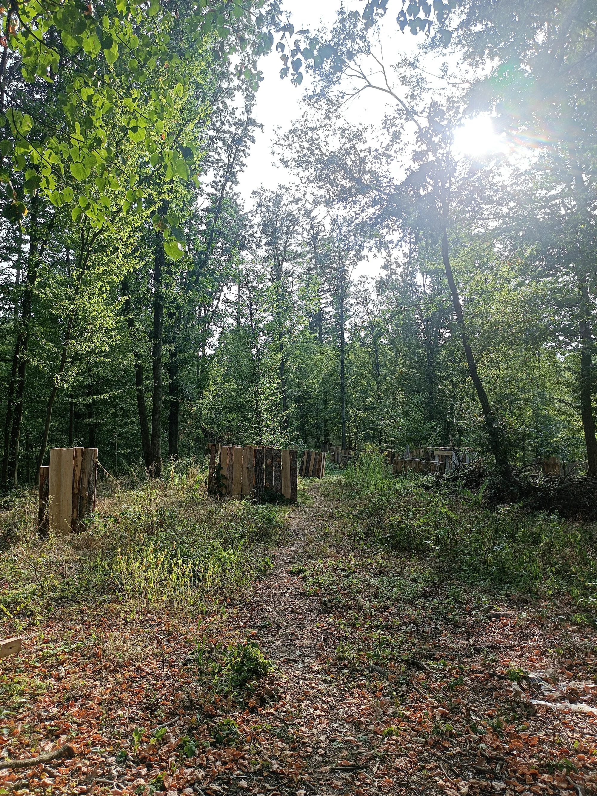 Dobijte adrenalin: 3hodinová paintballová zábava vč. kuliček a občerstvení