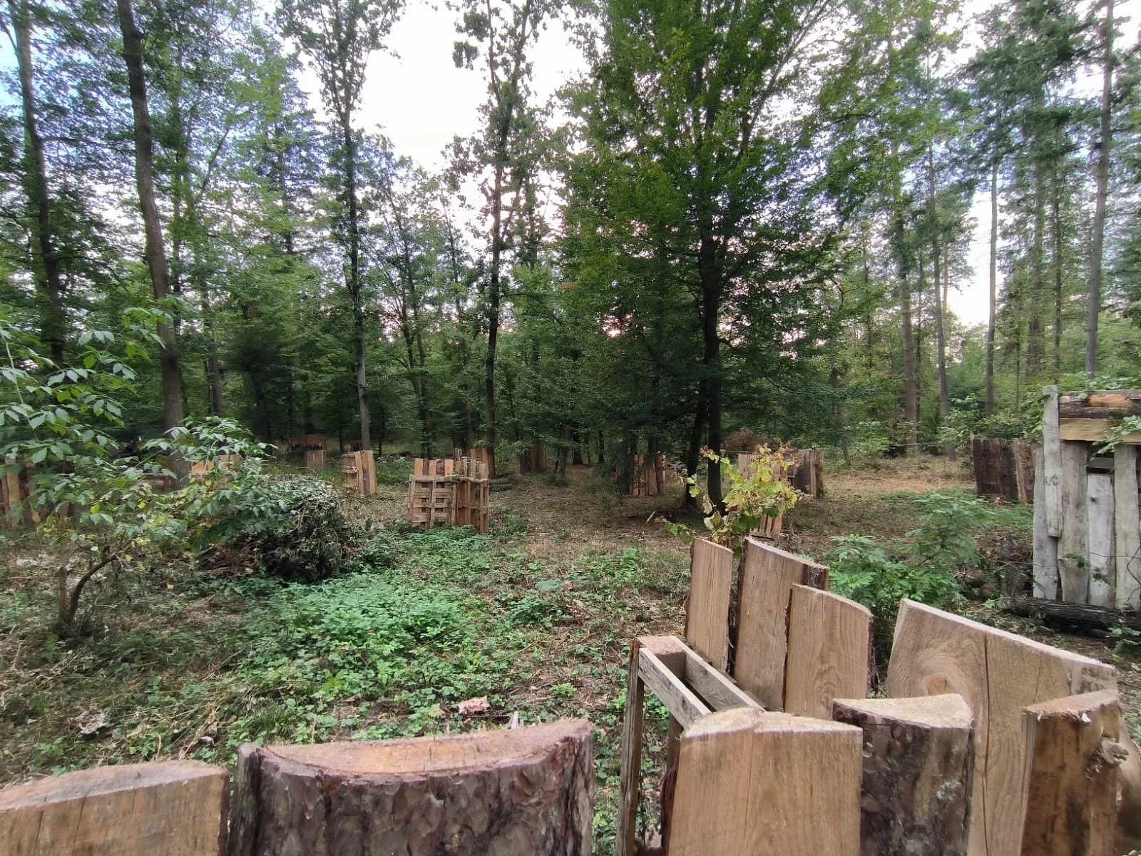 Dobijte adrenalin: 3hodinová paintballová zábava vč. kuliček a občerstvení