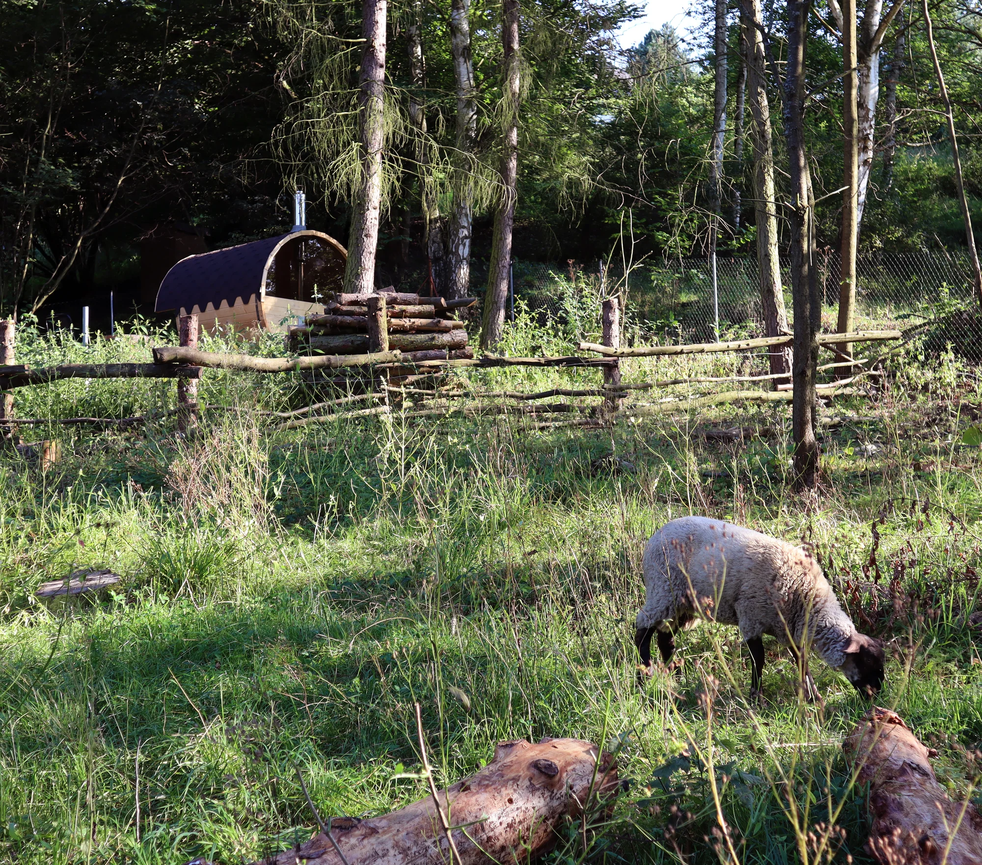 Glamping: zrelaxujte v mongolské jurtě s otevřeným výhledem na noční oblohu, až pro 3 osoby, vč. snídaně