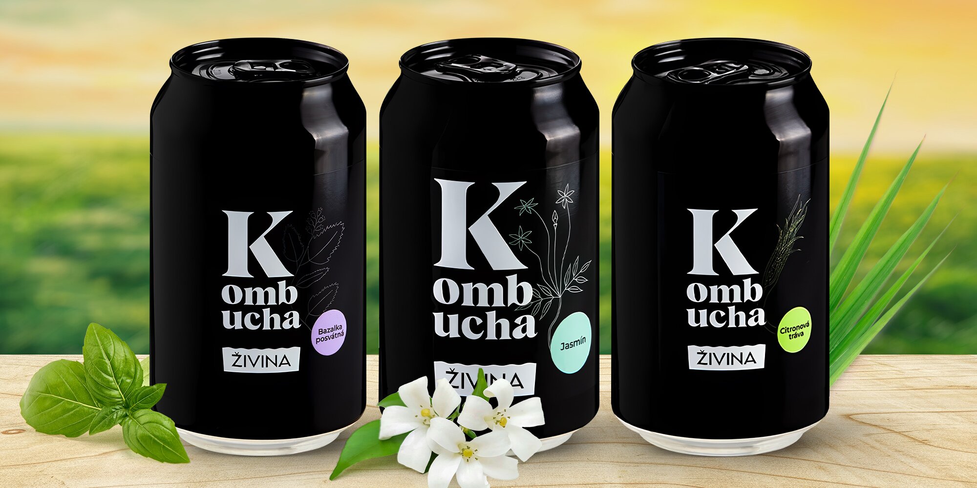 Kombucha od Živiny: jasmín, bazalka nebo citronová tráva