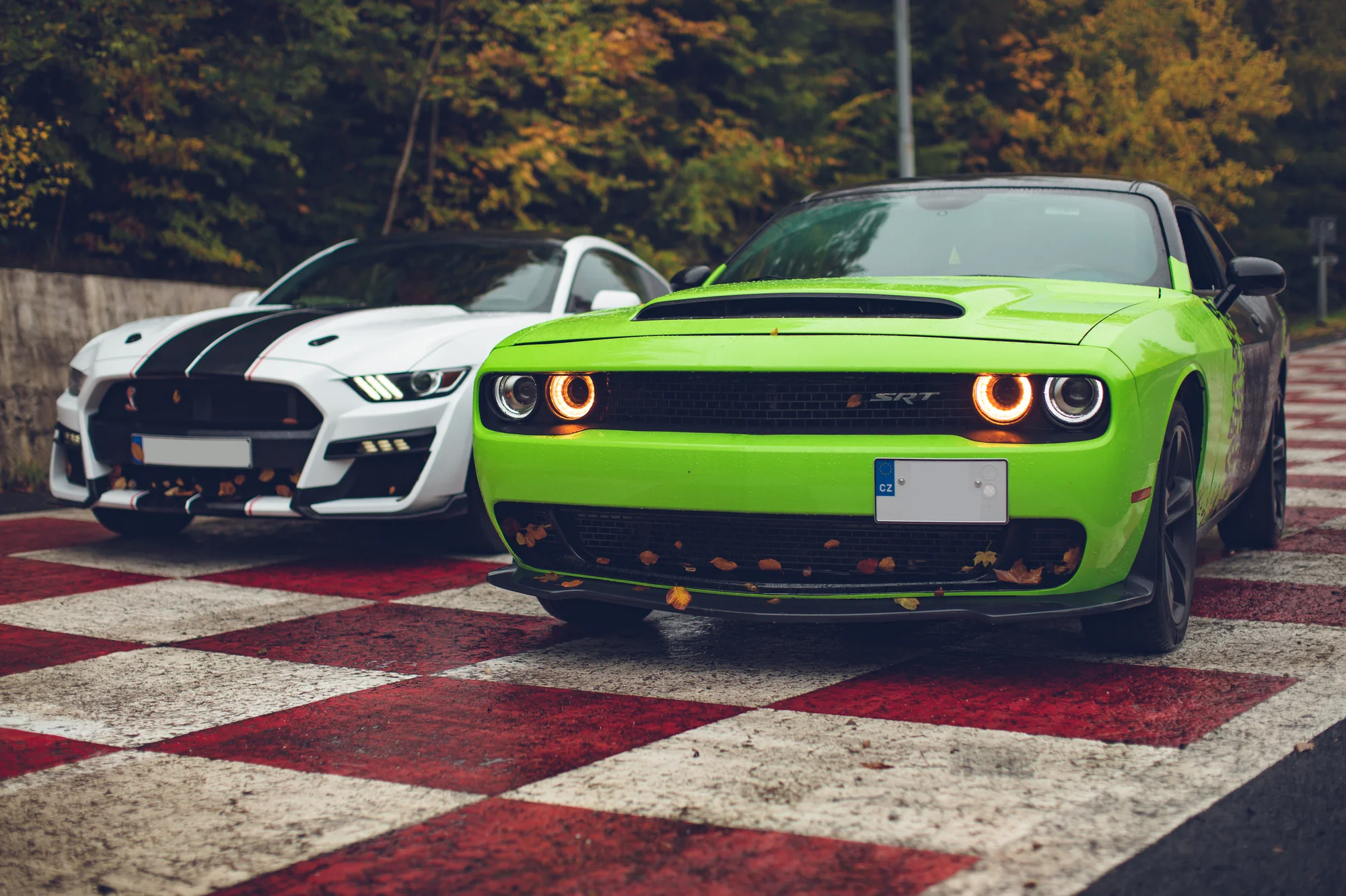 Dodge Challenger nebo Ford Mustang s pevnou střechou či cabrio: až 180 min. jízdy