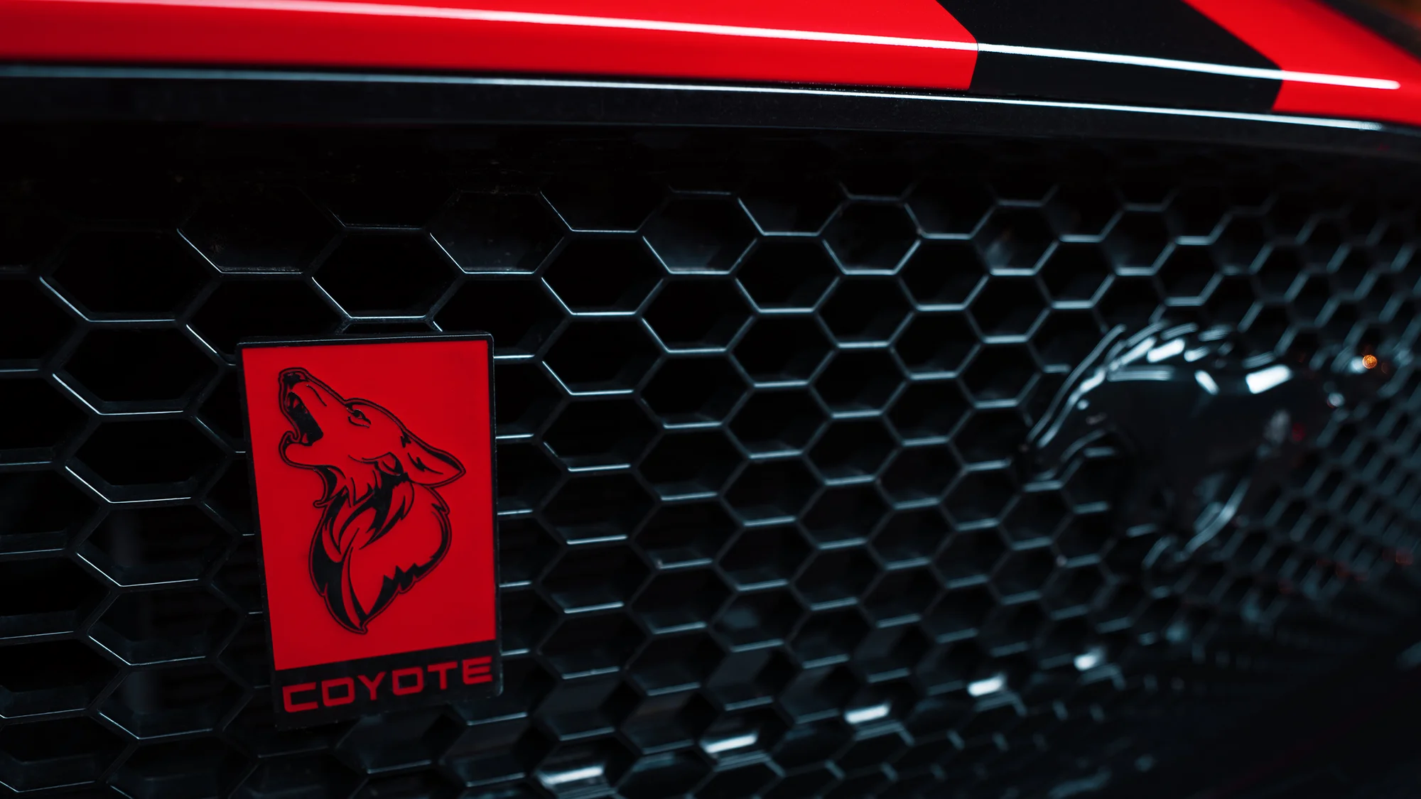 Nezapomenutelný zážitek: jízda nebo pronájem legendárního Fordu Mustang 5.0 V8 Coyote