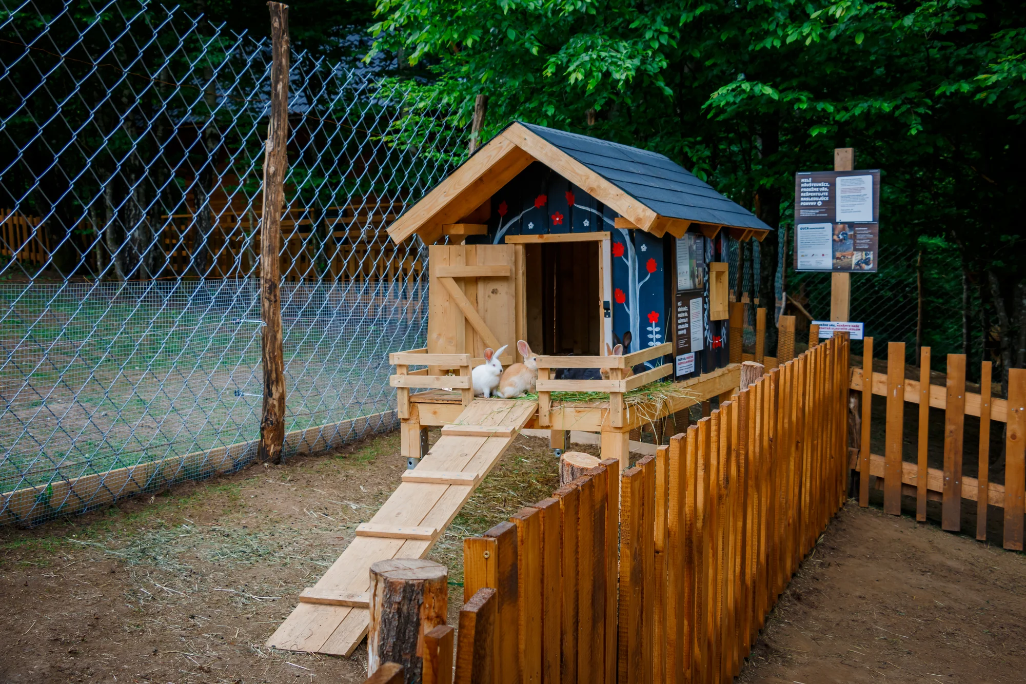 Pobyt v rodinném parku s minizoo: chatka až pro 5 osob, wellness, varianty se snídaní i grilováním