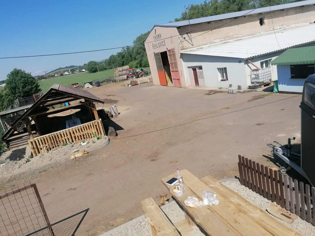 S rodinou na farmu: lamy a další zvířátka, projížďka na ponících i opékání buřtů
