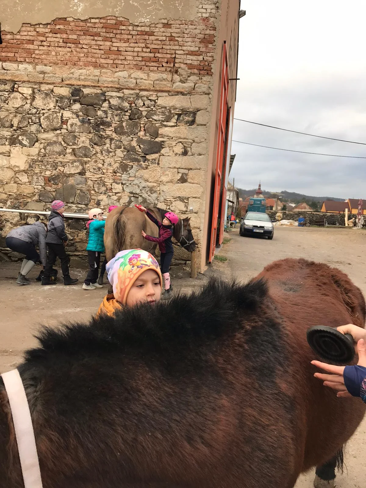 S rodinou na farmu: lamy a další zvířátka, projížďka na ponících i opékání buřtů