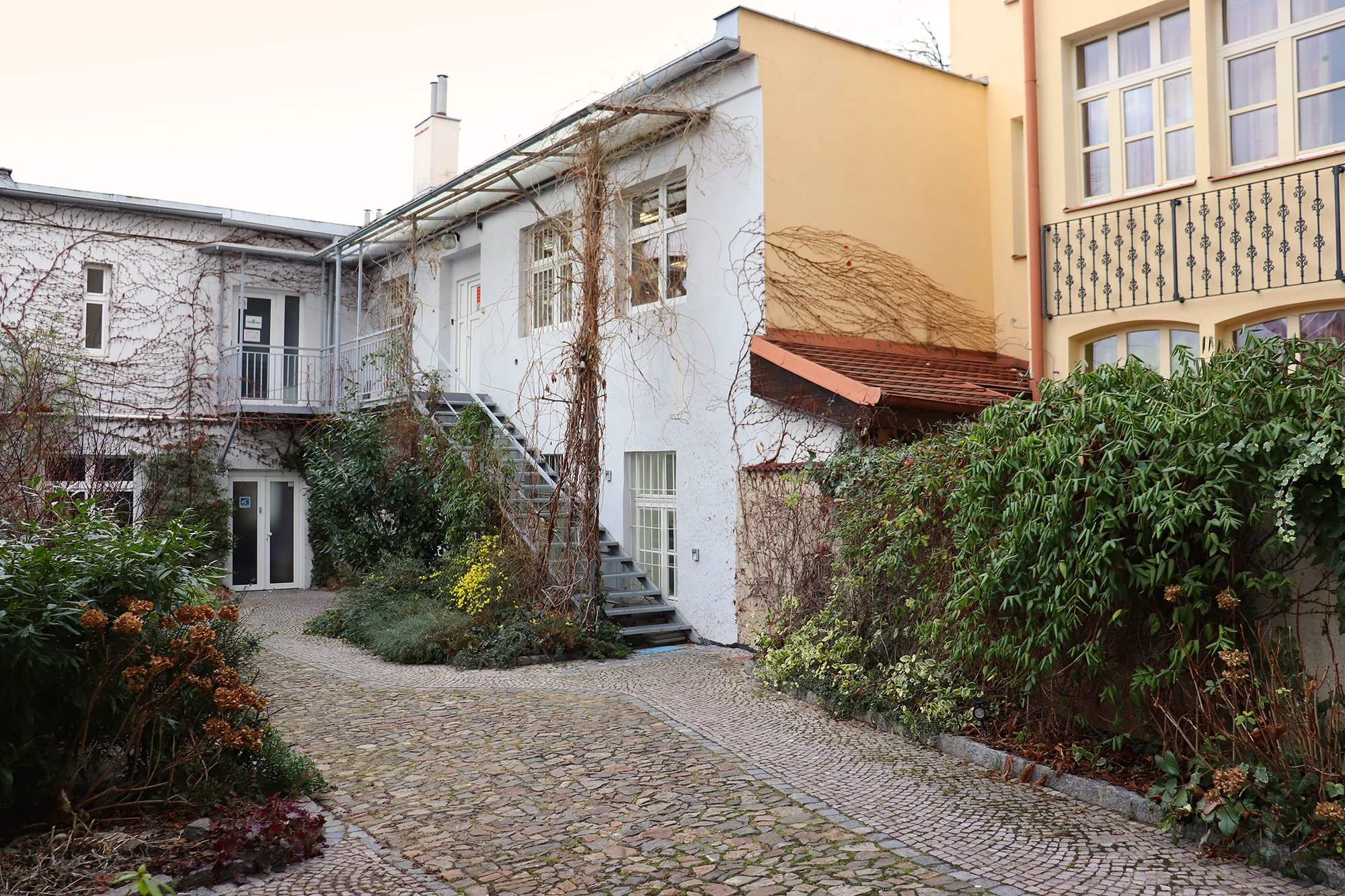 Výtvarný kurz v grafické dílně: linoryt pro 1–2 osoby