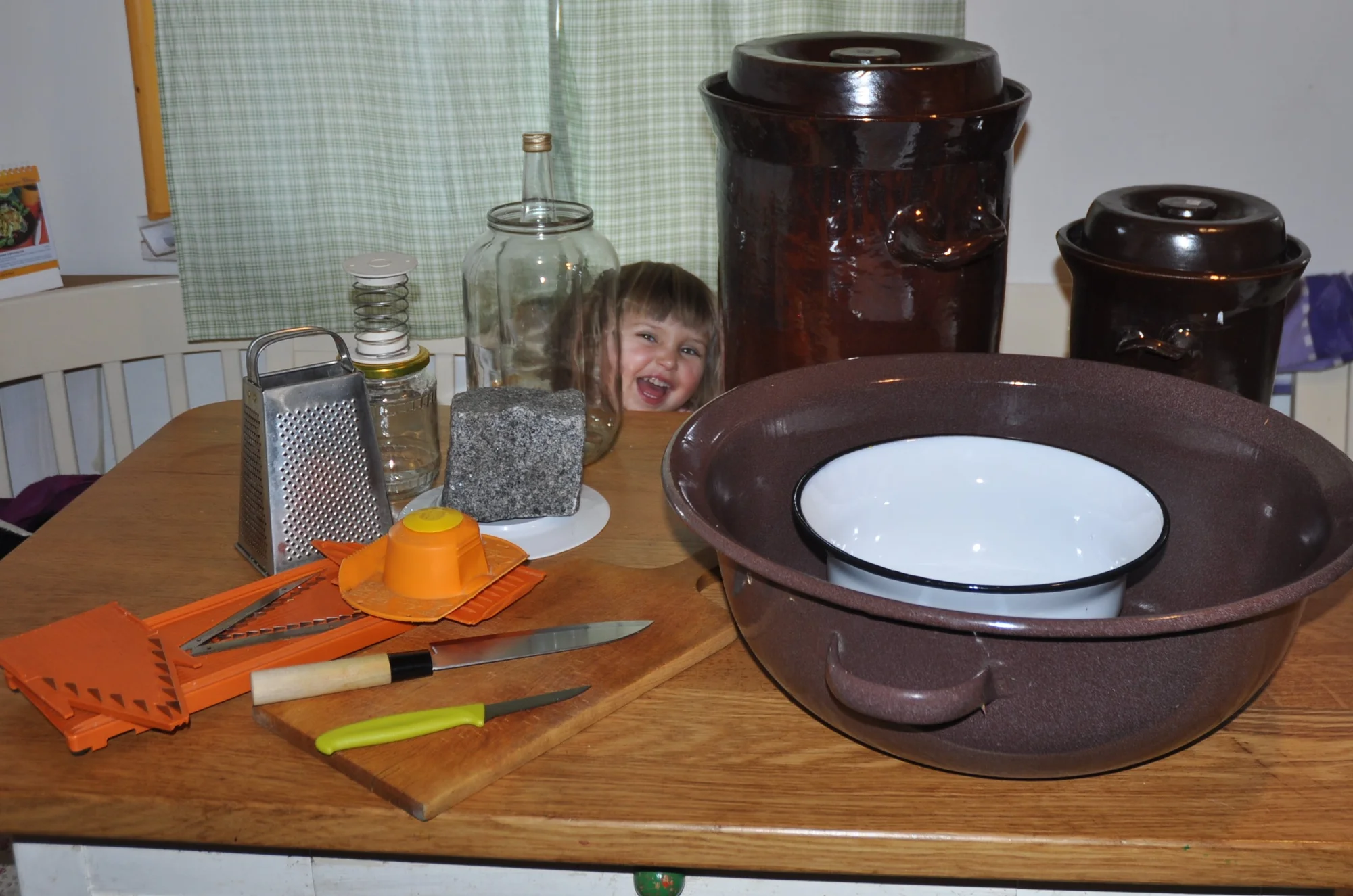 Online kurz kvašení zeleniny: téměř 100 min. teorie i praxe