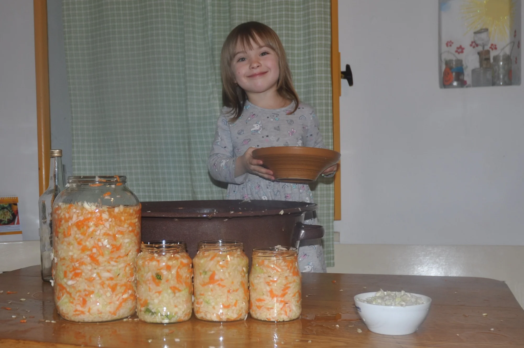 Online kurz kvašení zeleniny: téměř 100 min. teorie i praxe