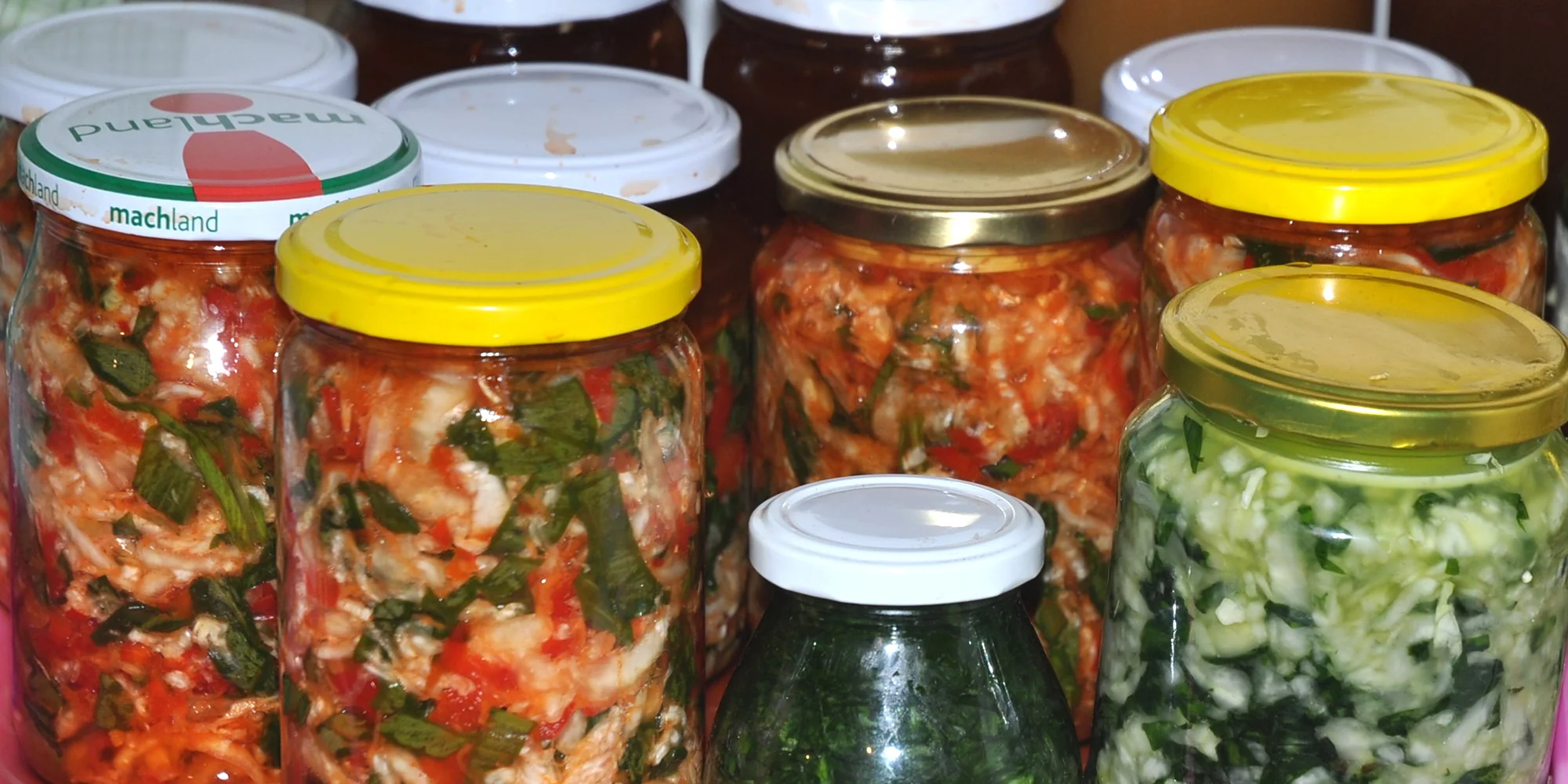 Online kurz kvašení zeleniny: téměř 100 min. teorie i praxe